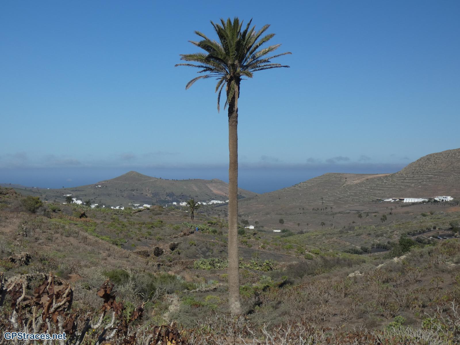 De retour à Haria