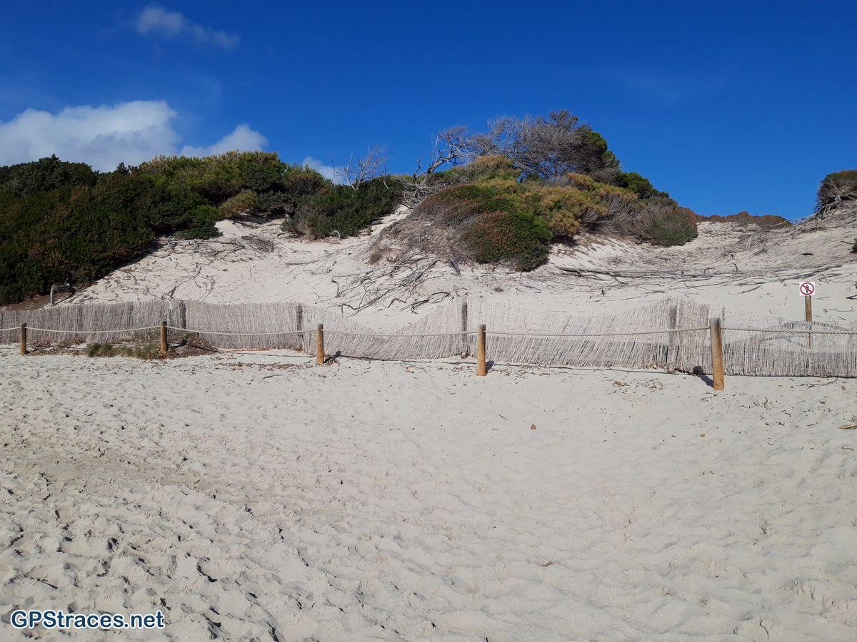 Playa Ses Salinas