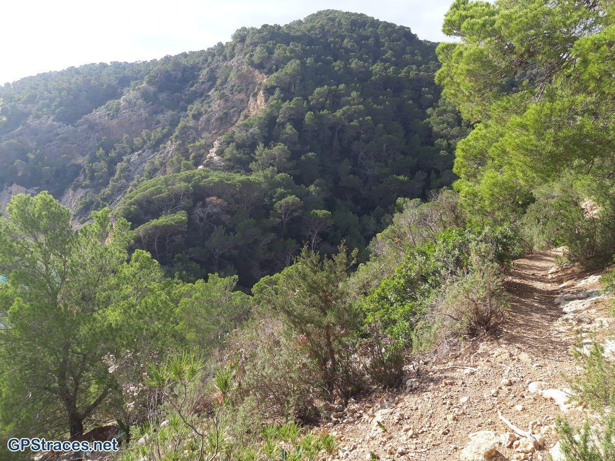 Le mirador de Cala Blanca