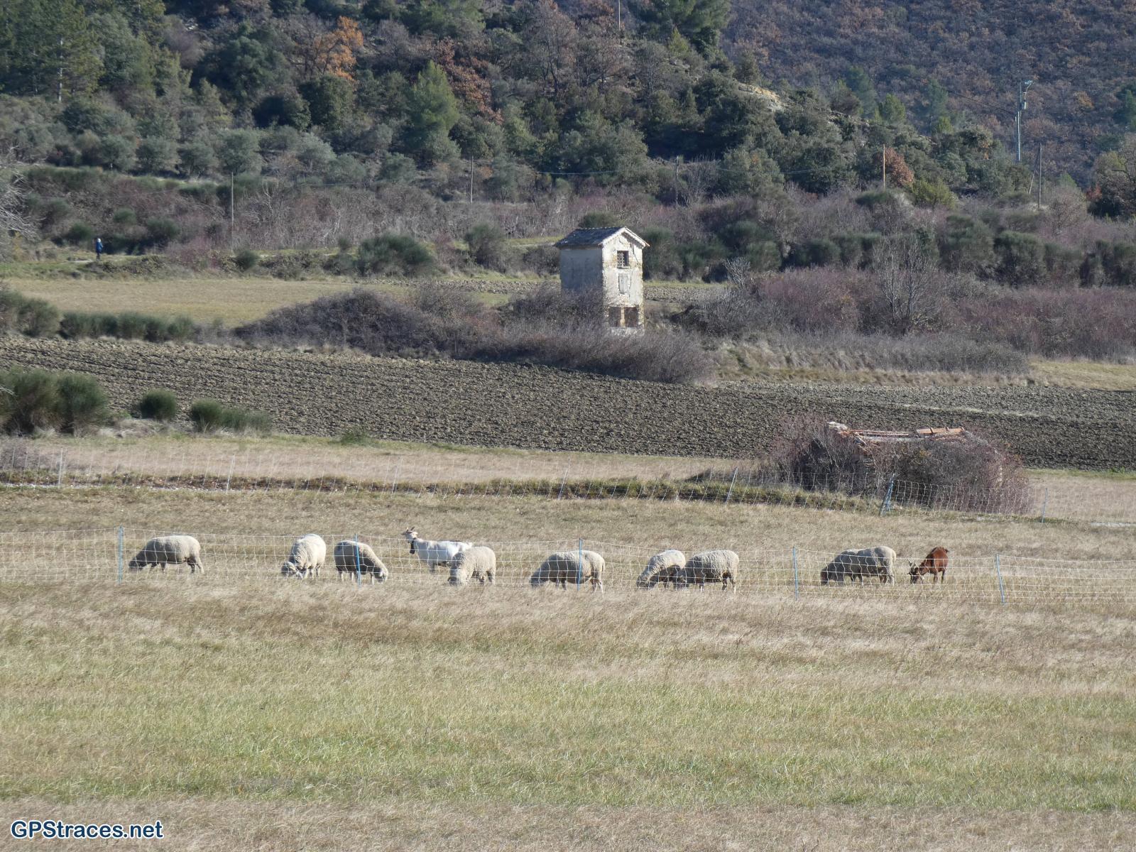 Alpes de Haute Provence-Chateauneuf Val Saint Donat - Vieux village et  Bories–5