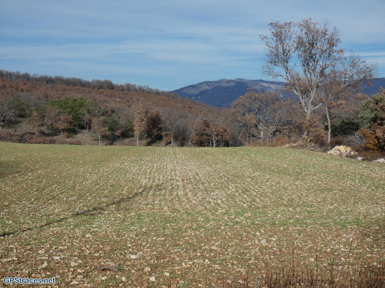 Alpes de Haute Provence-Chateauneuf Val Saint Donat - Vieux village et  Bories–16