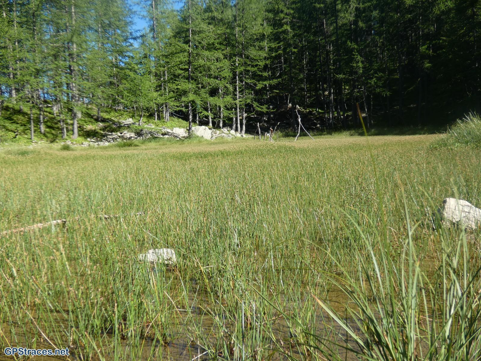 Le lac des Grenouilles