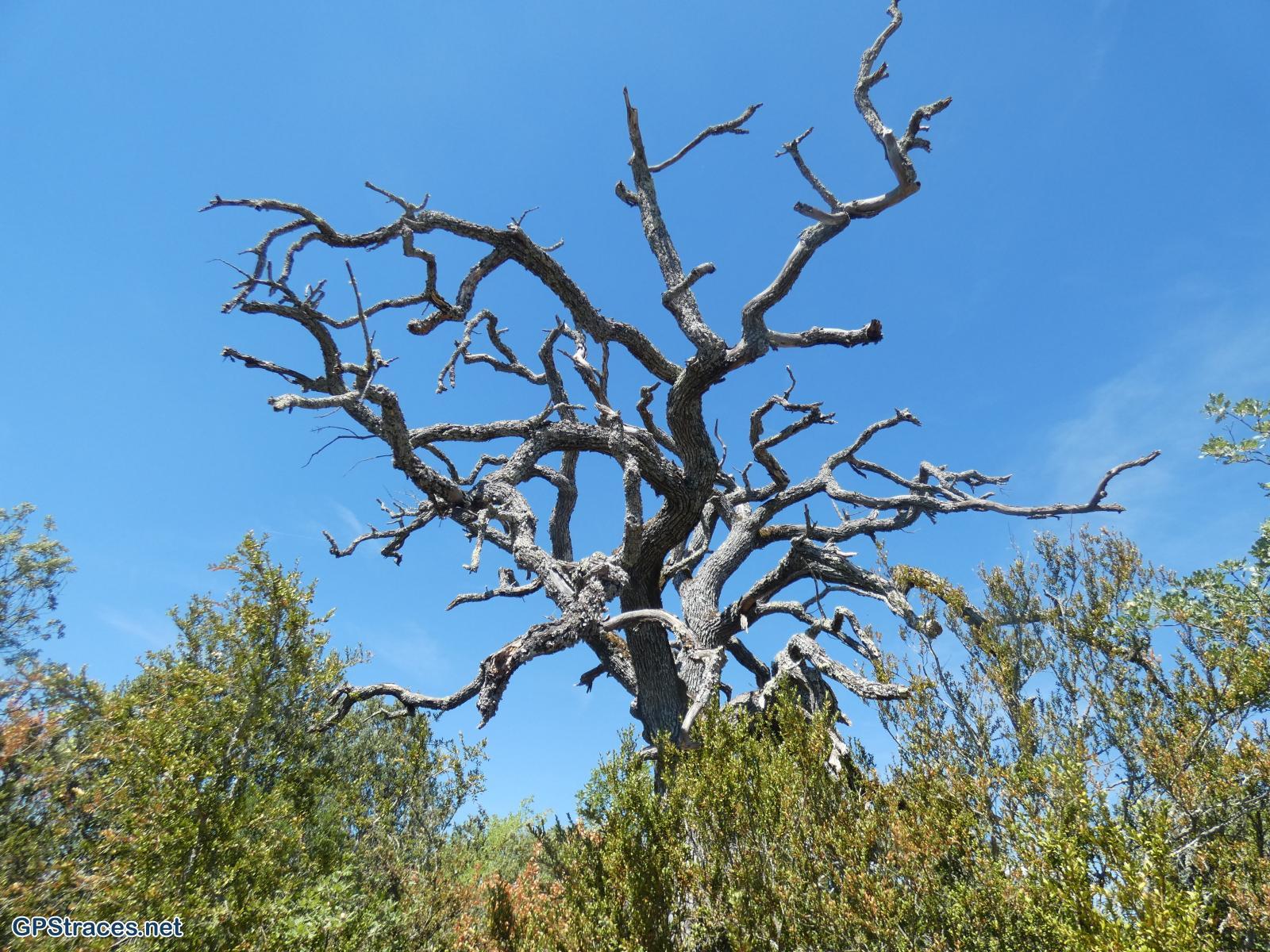 Alpes de Haute Provence-Gorges d'Oppedette–2