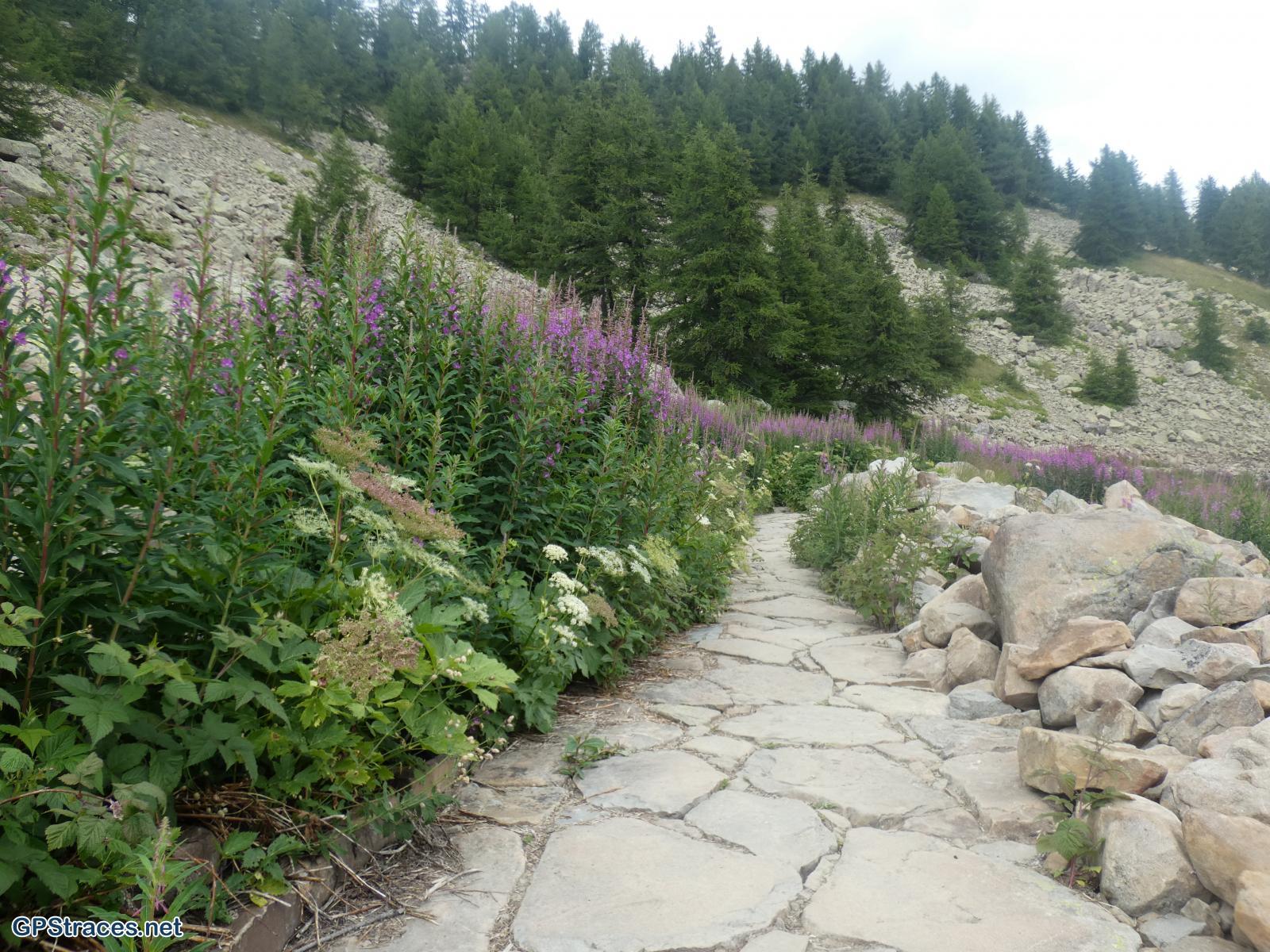 Alpes de Haute Provence-Le lac d'Allos–5