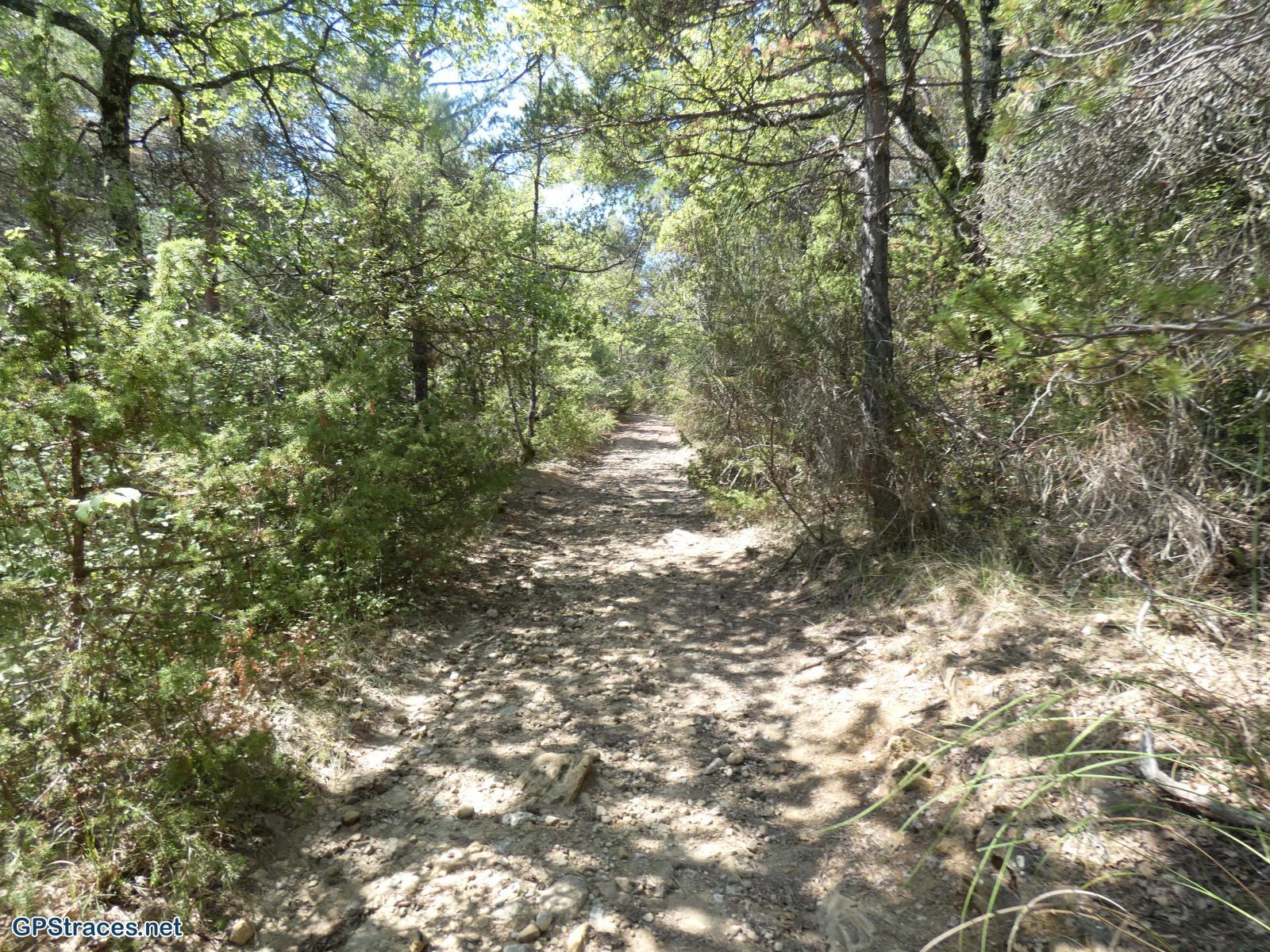 Alpes de Haute Provence-Lubéron - Céreste - Monjustin–1