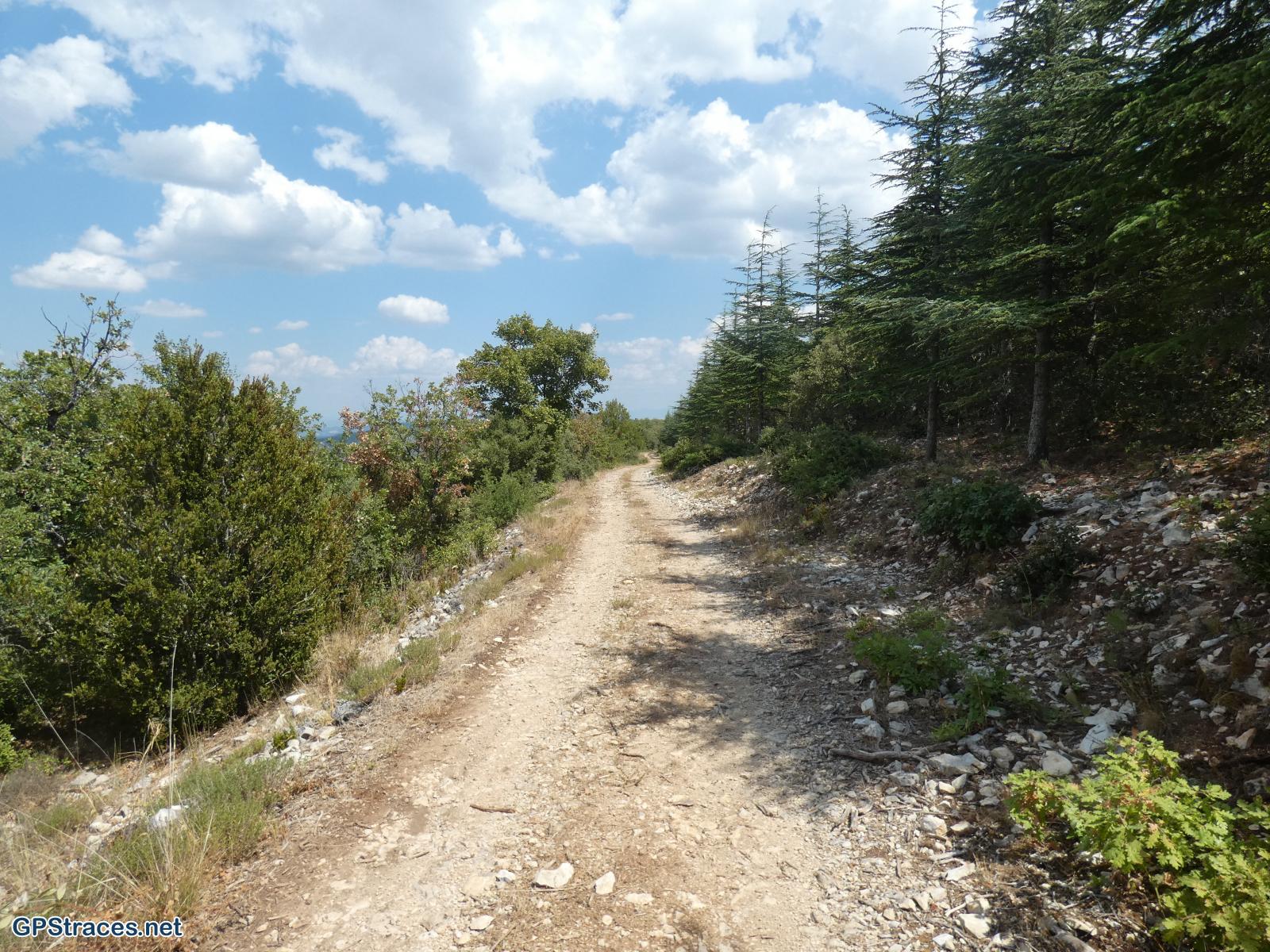 Alpes de Haute Provence-Lubéron - Céreste - Monjustin–6