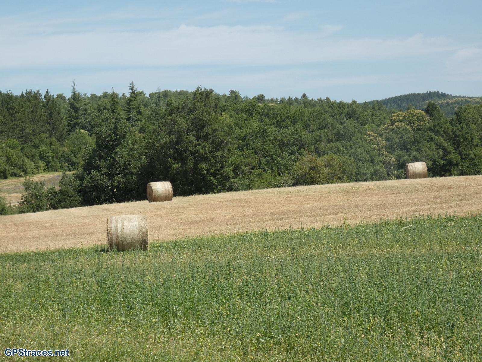 Alpes de Haute Provence-De Revest du Bion à la Haute Lèbre–3