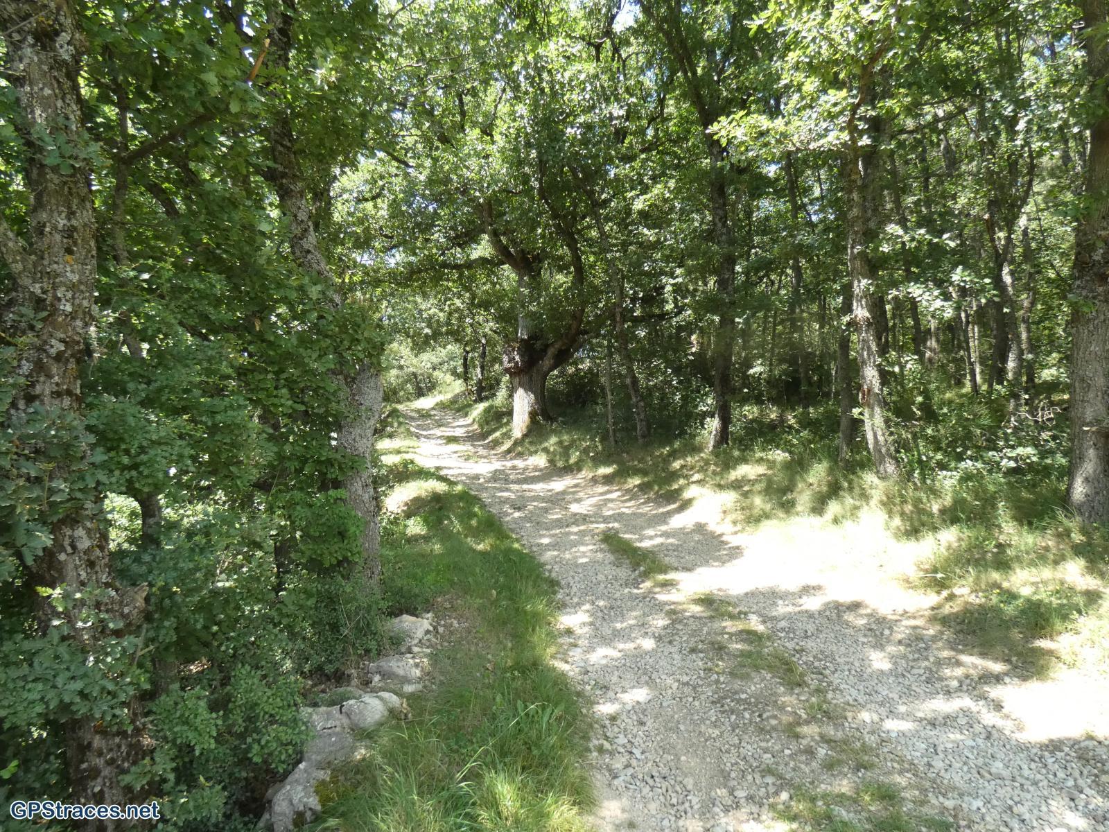 Alpes de Haute Provence-De Revest du Bion à la Haute Lèbre–4