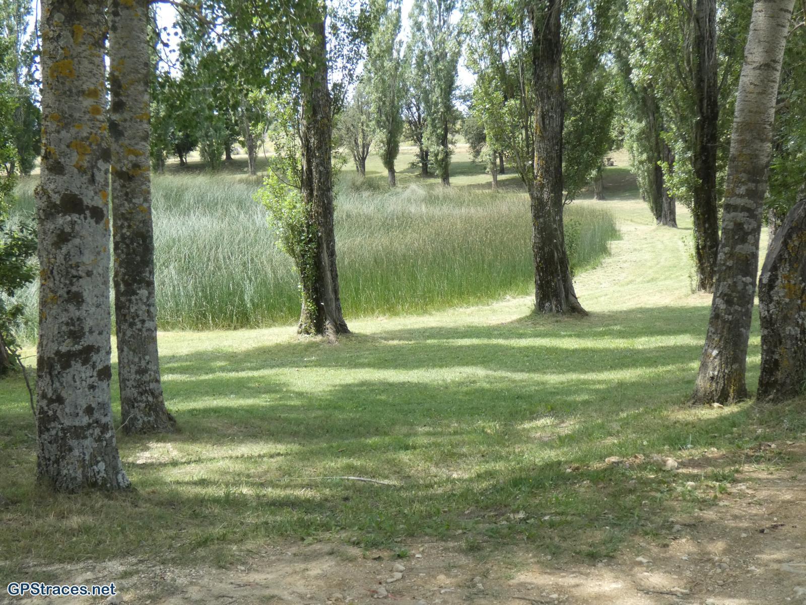 L'étang