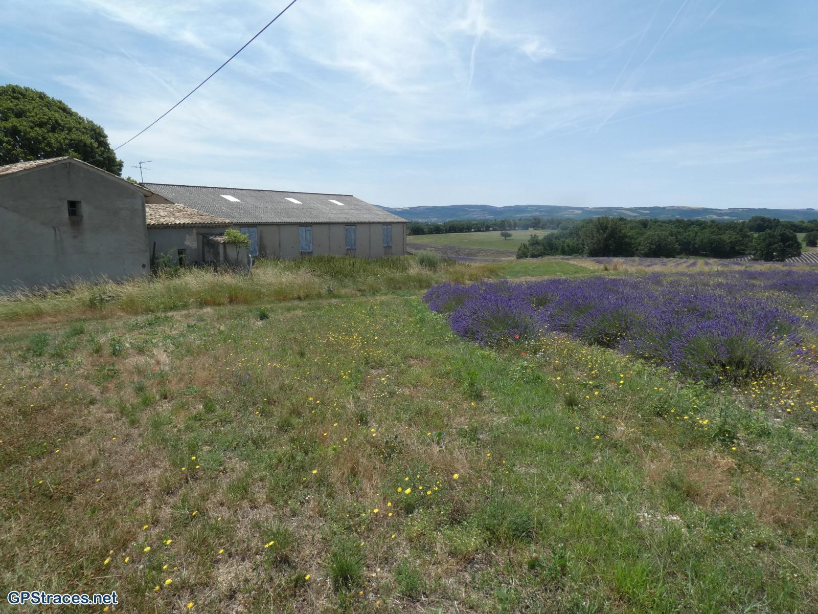 Alpes de Haute Provence-De Revest du Bion à la Haute Lèbre–8