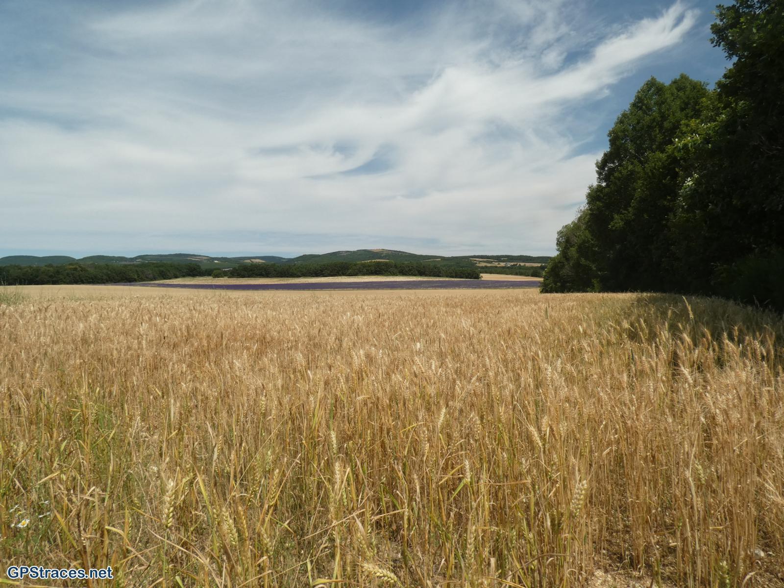 Alpes de Haute Provence-De Revest du Bion à la Haute Lèbre–9