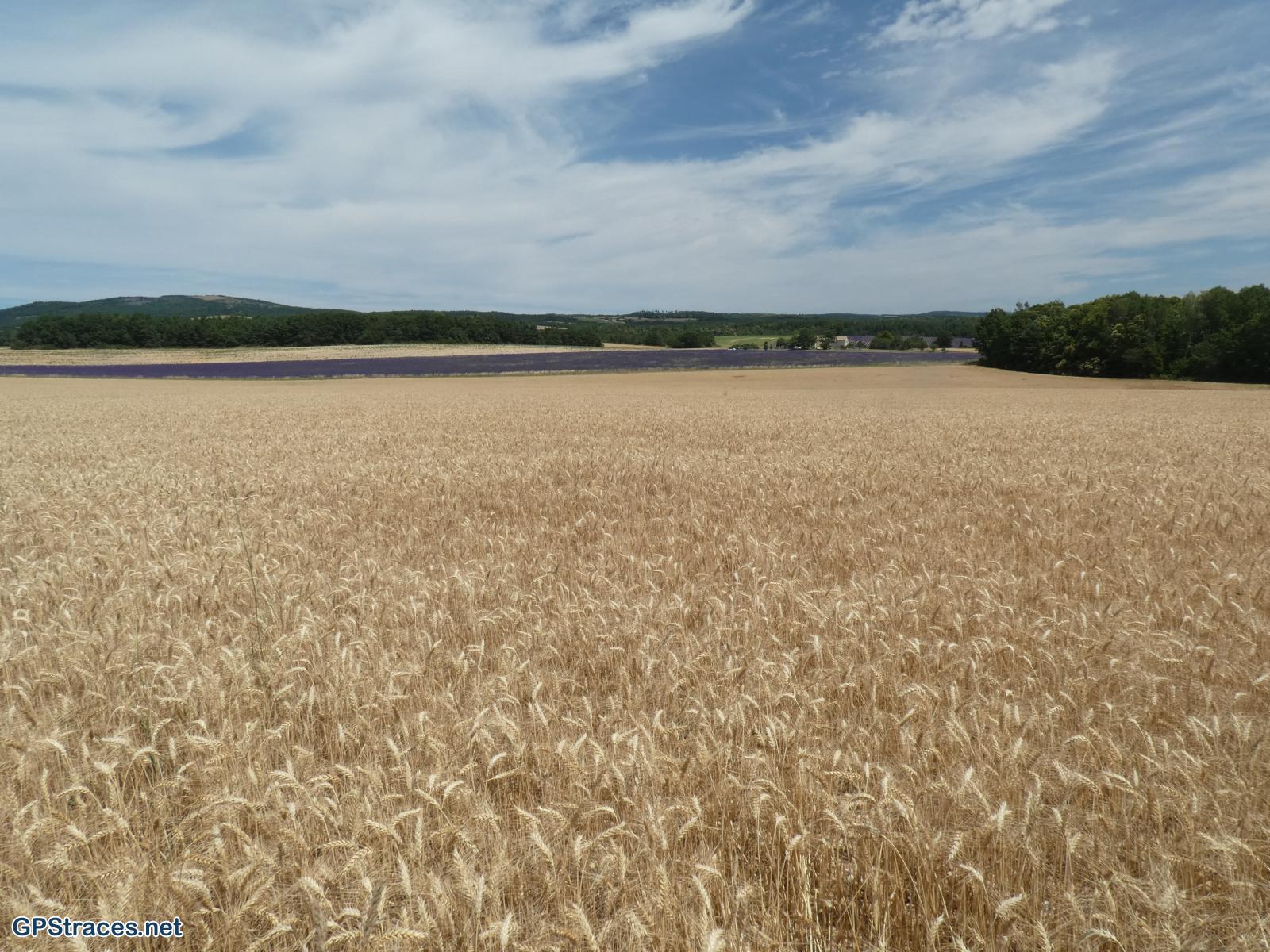 Alpes de Haute Provence-De Revest du Bion à la Haute Lèbre–10