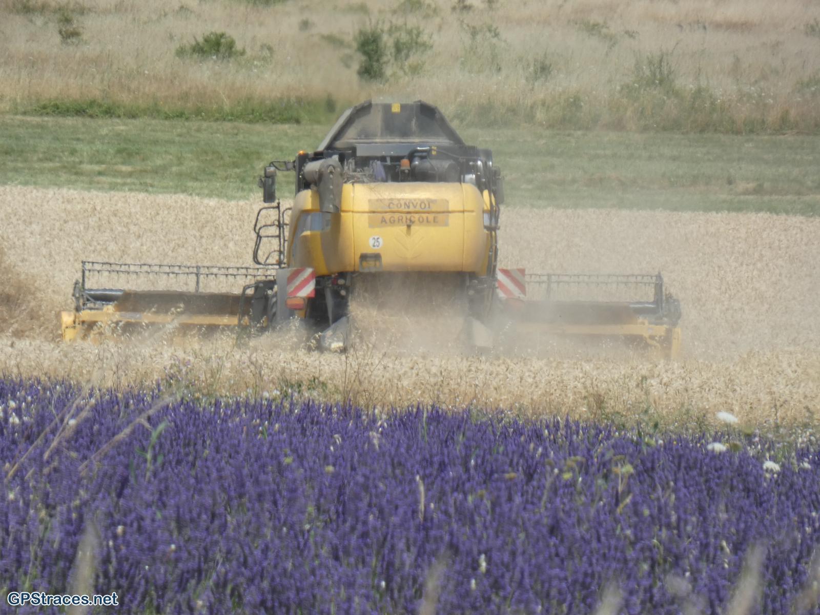 Alpes de Haute Provence-De Revest du Bion à la Haute Lèbre–11