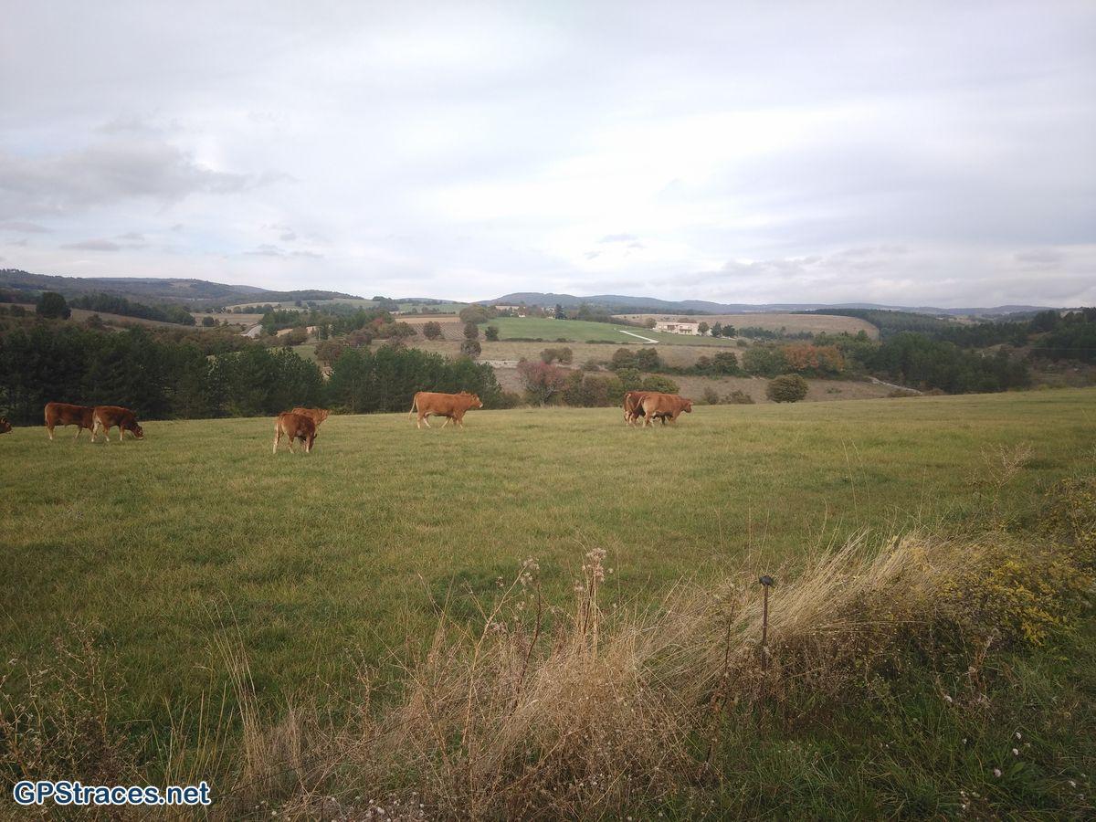Alpes de Haute Provence-Revest-Du-Bion - Le Contadour–2