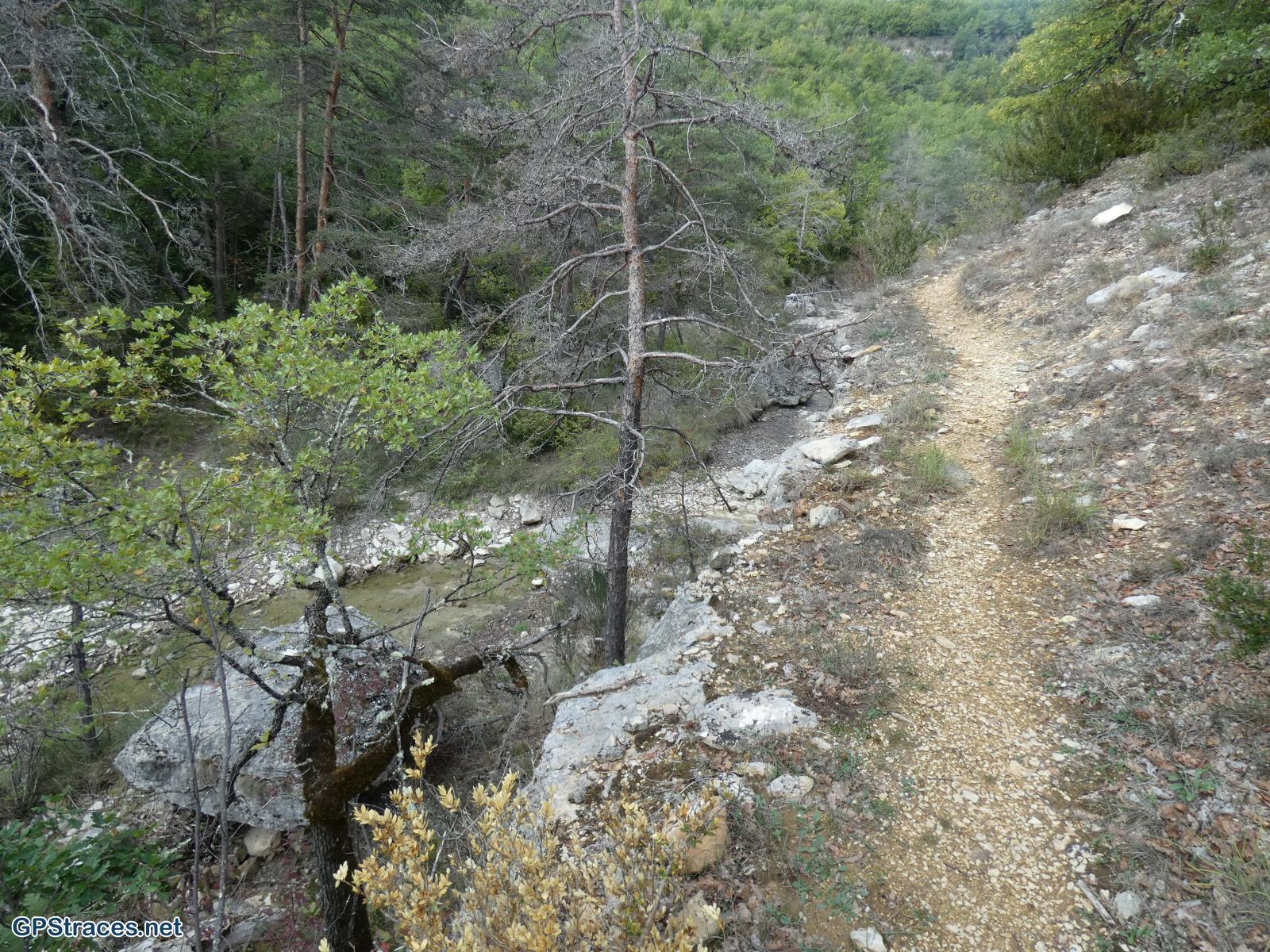Alpes de Haute Provence-Le saut du Moine - Valsainte–7