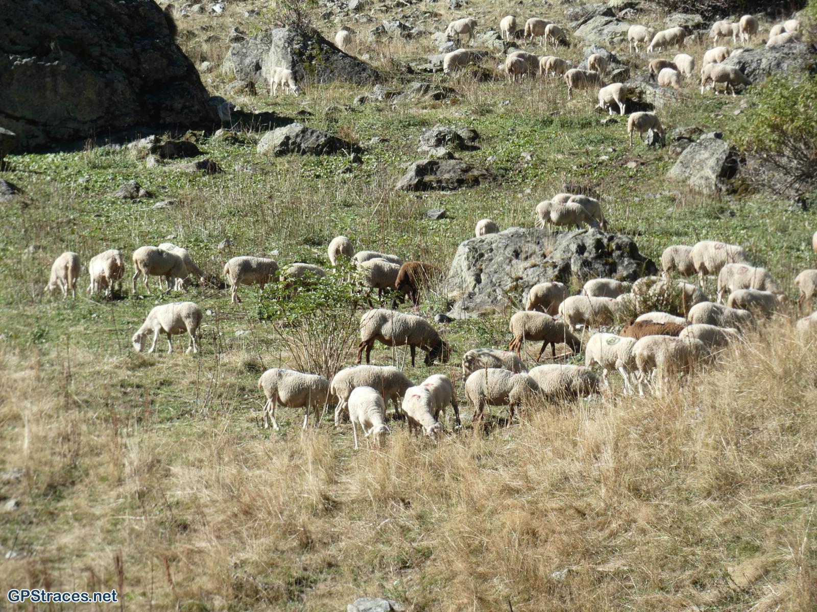 Hautes Alpes-Jour 1 : Du Gioberney au col de Vallompierre–6