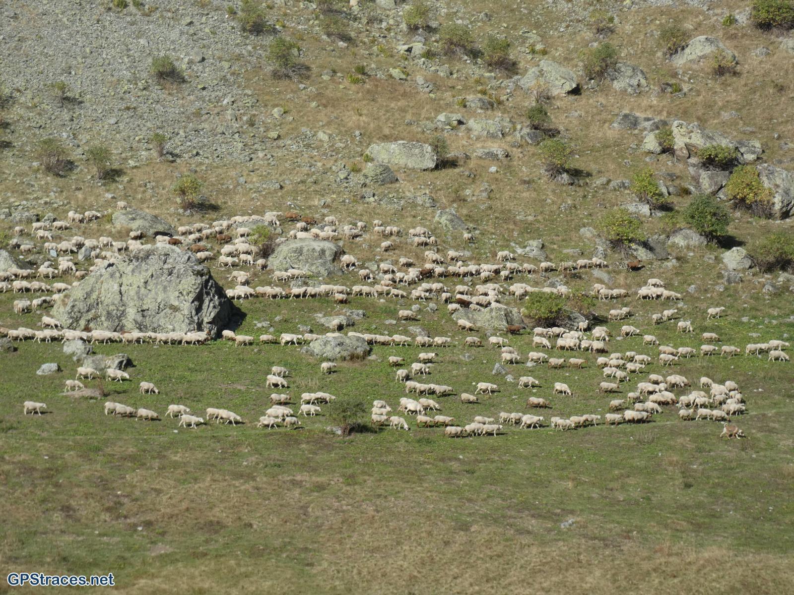 Hautes Alpes-Jour 2 : Vallompierre Le Gioberney via Chabournéou–7