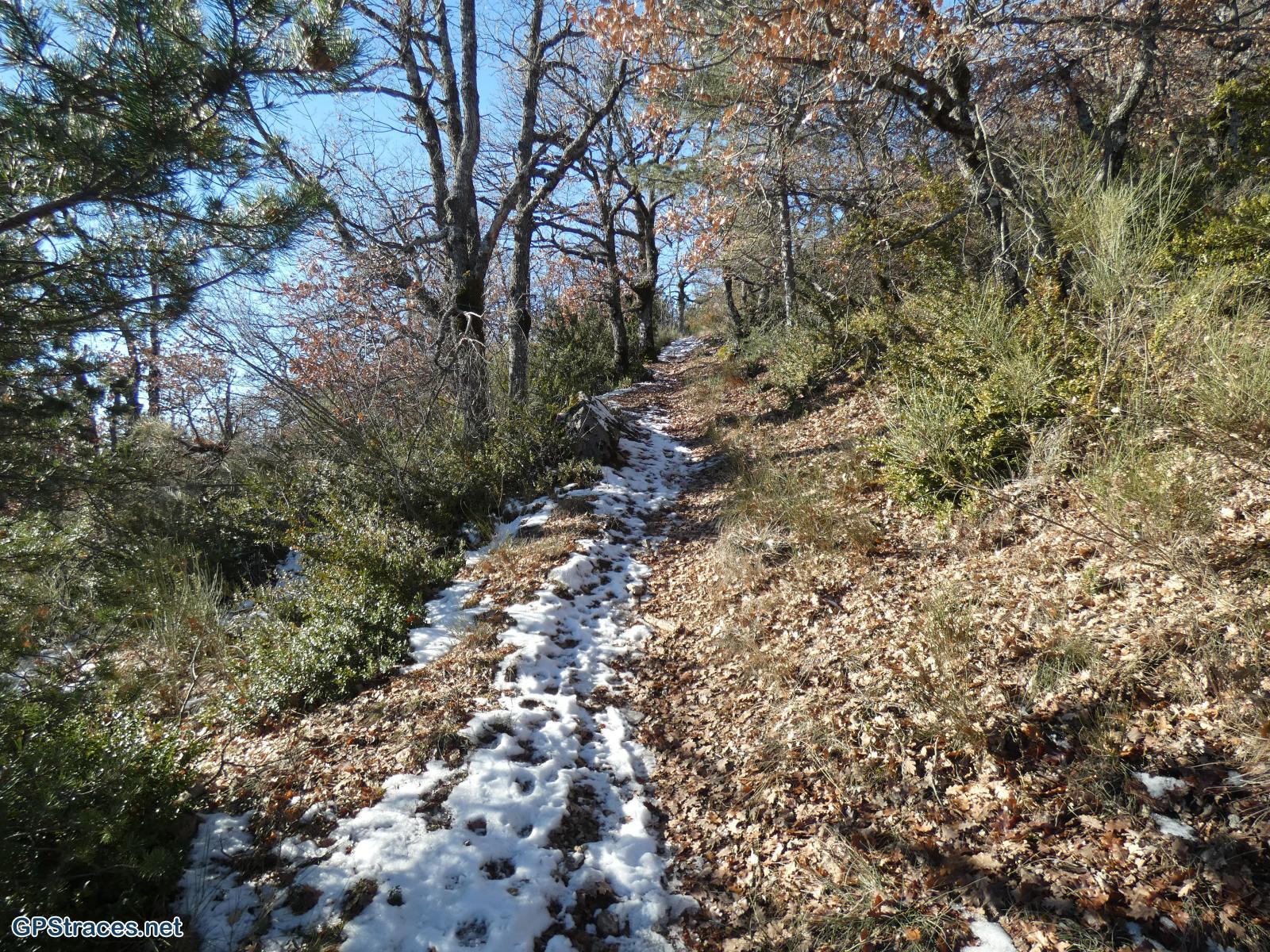 Hautes Alpes-Le Suillet–3