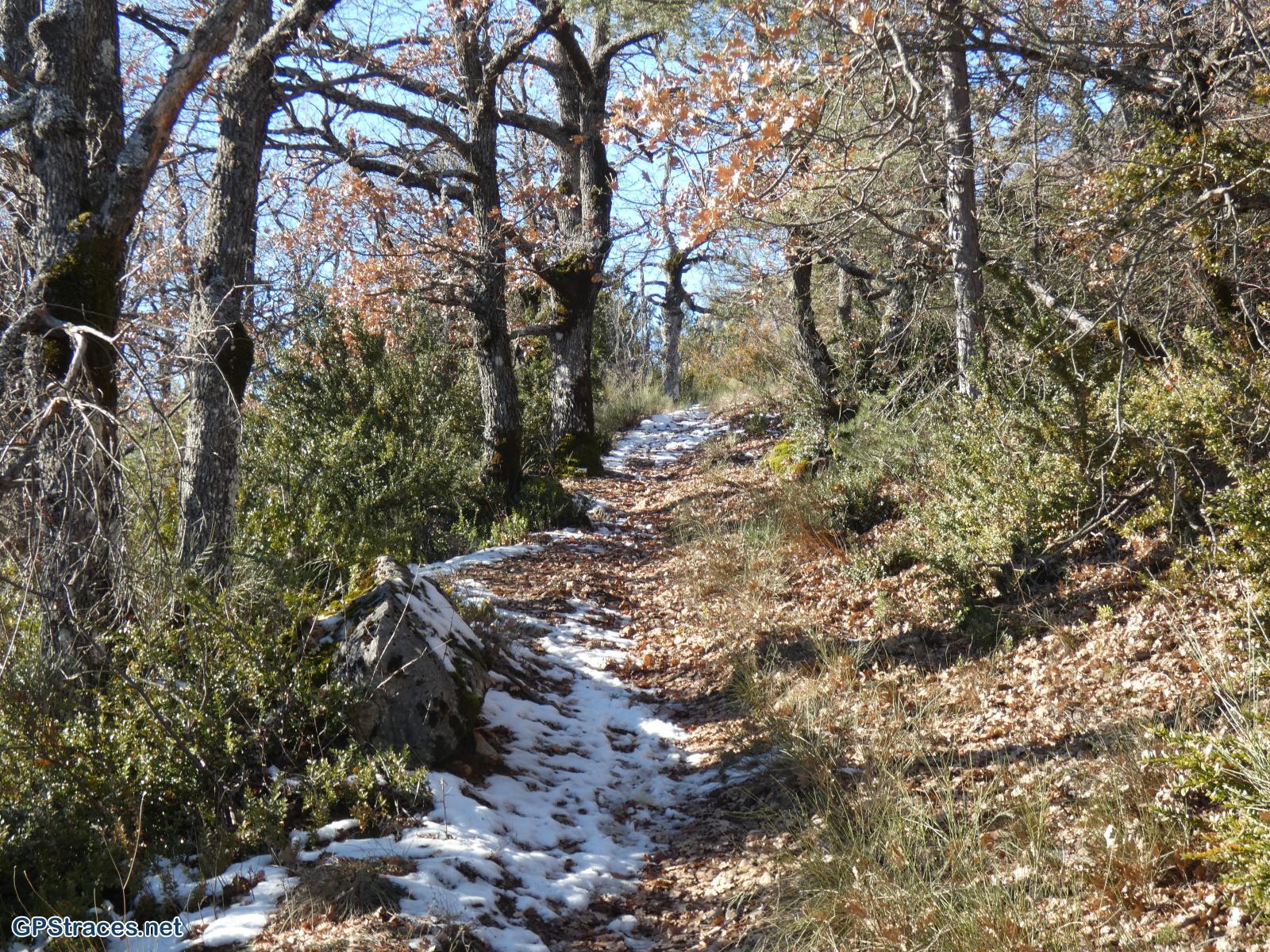 Hautes Alpes-Le Suillet–4