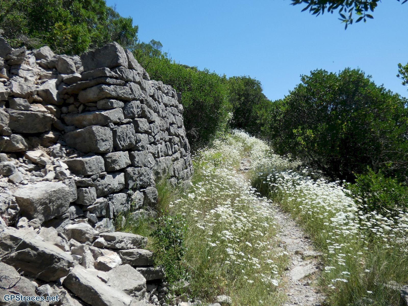 Ardèche-Le long du Chassezac–1