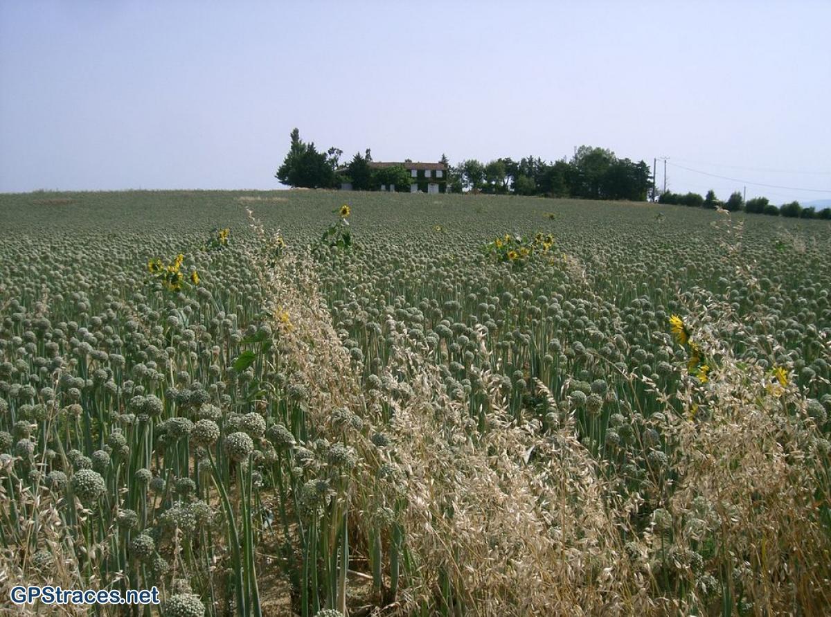 Aude-Saint-Jacques  : La Bastide D'Anjou - Villenouvelle–0