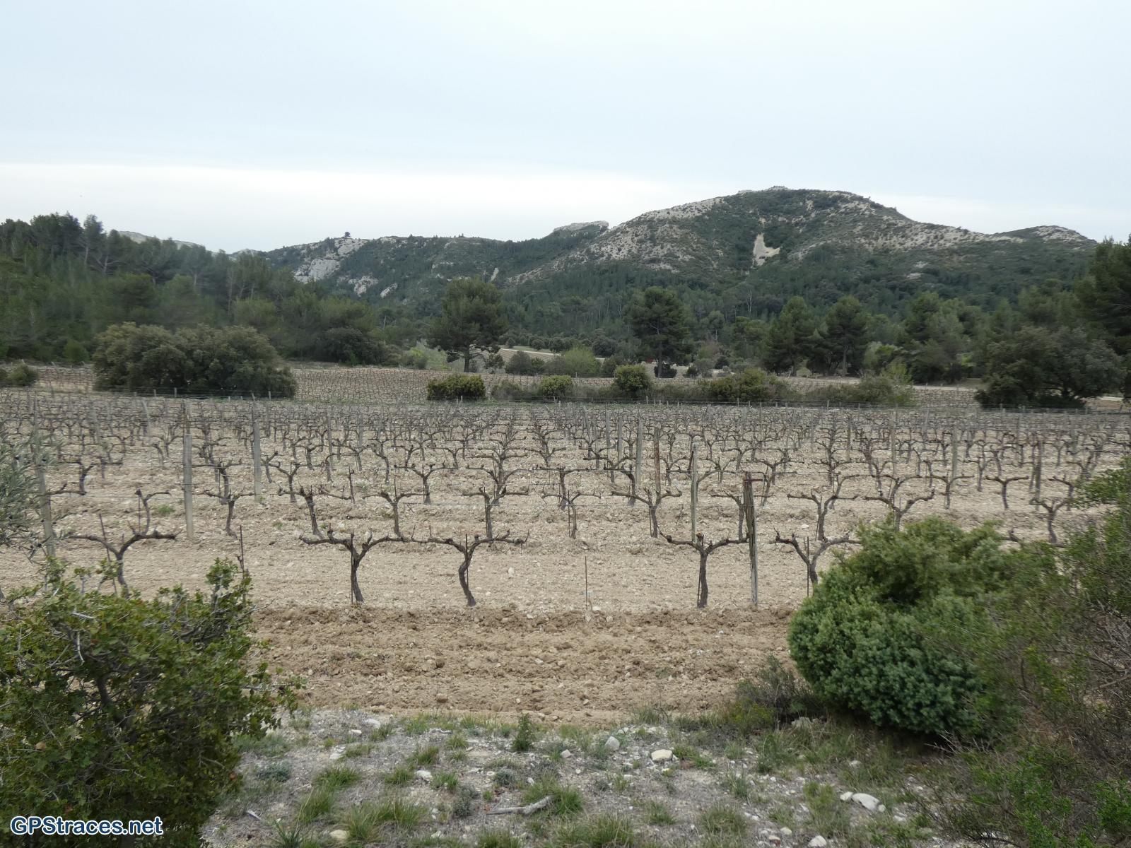 Bouches du Rhône-Alpilles - Abbaye de Pierredon–2