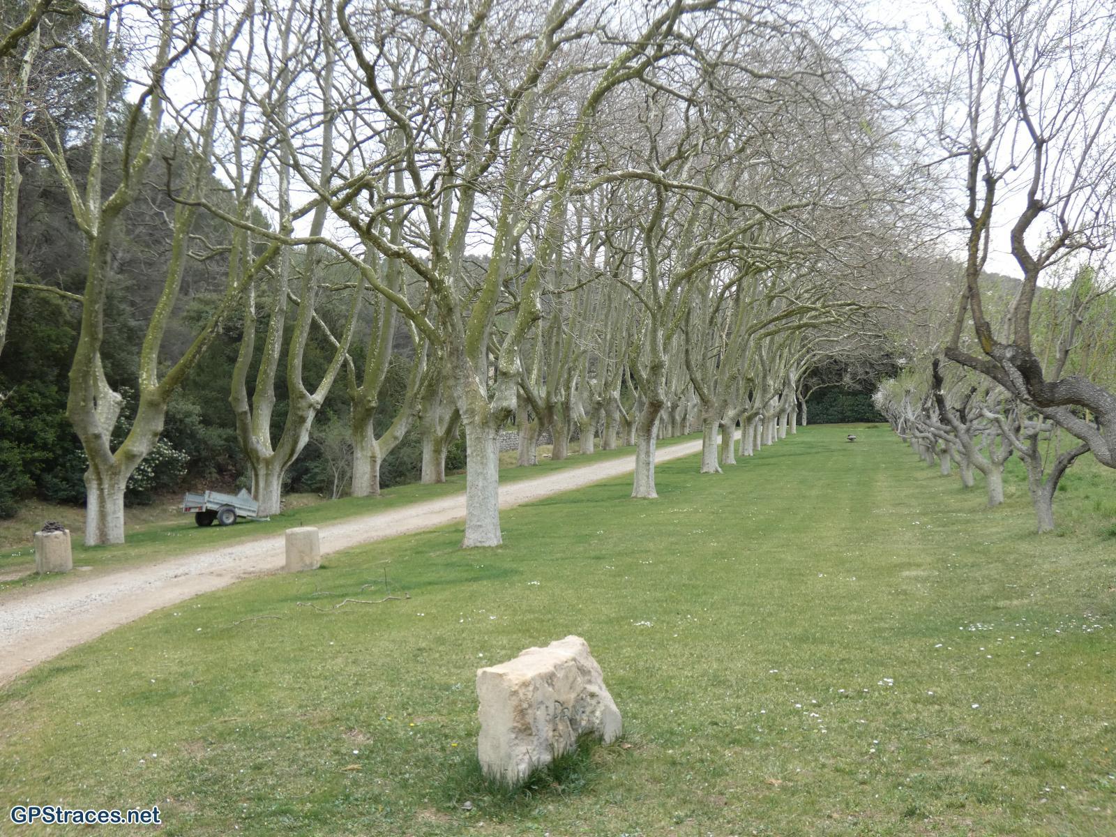 Bouches du Rhône-Alpilles - Abbaye de Pierredon–5