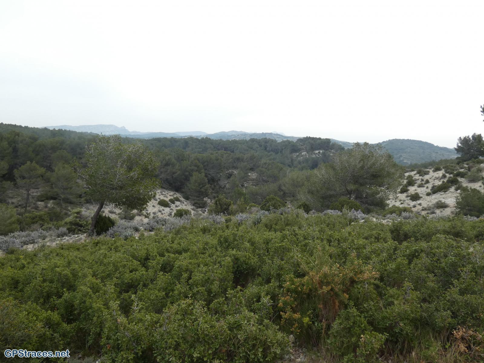 Au loin, Les Opies