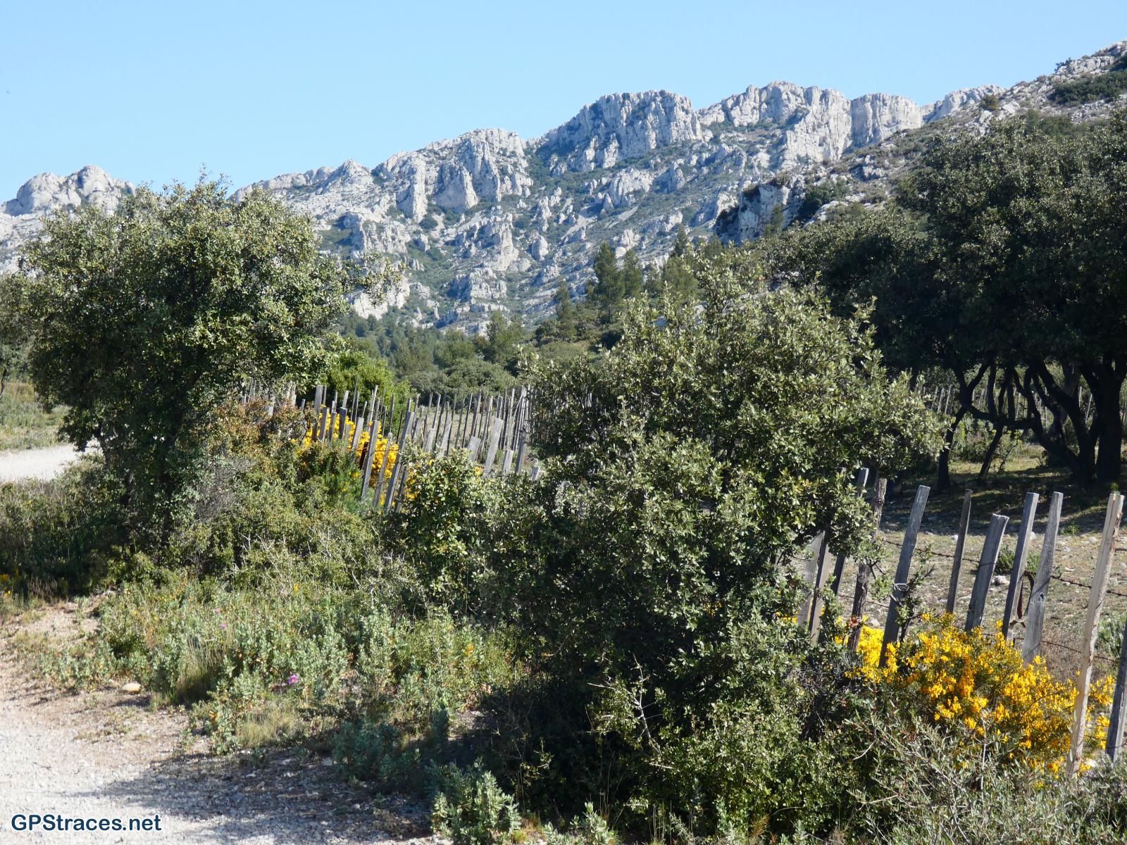 Bouches du Rhône-Alpilles - Aureille - Tour des Opies–1