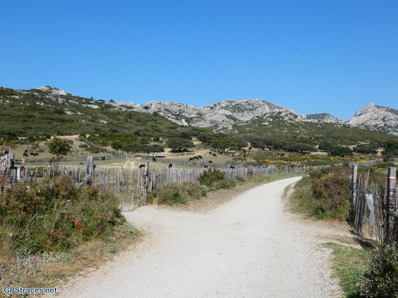 Bouches du Rhône-Alpilles - Aureille - Tour des Opies–23