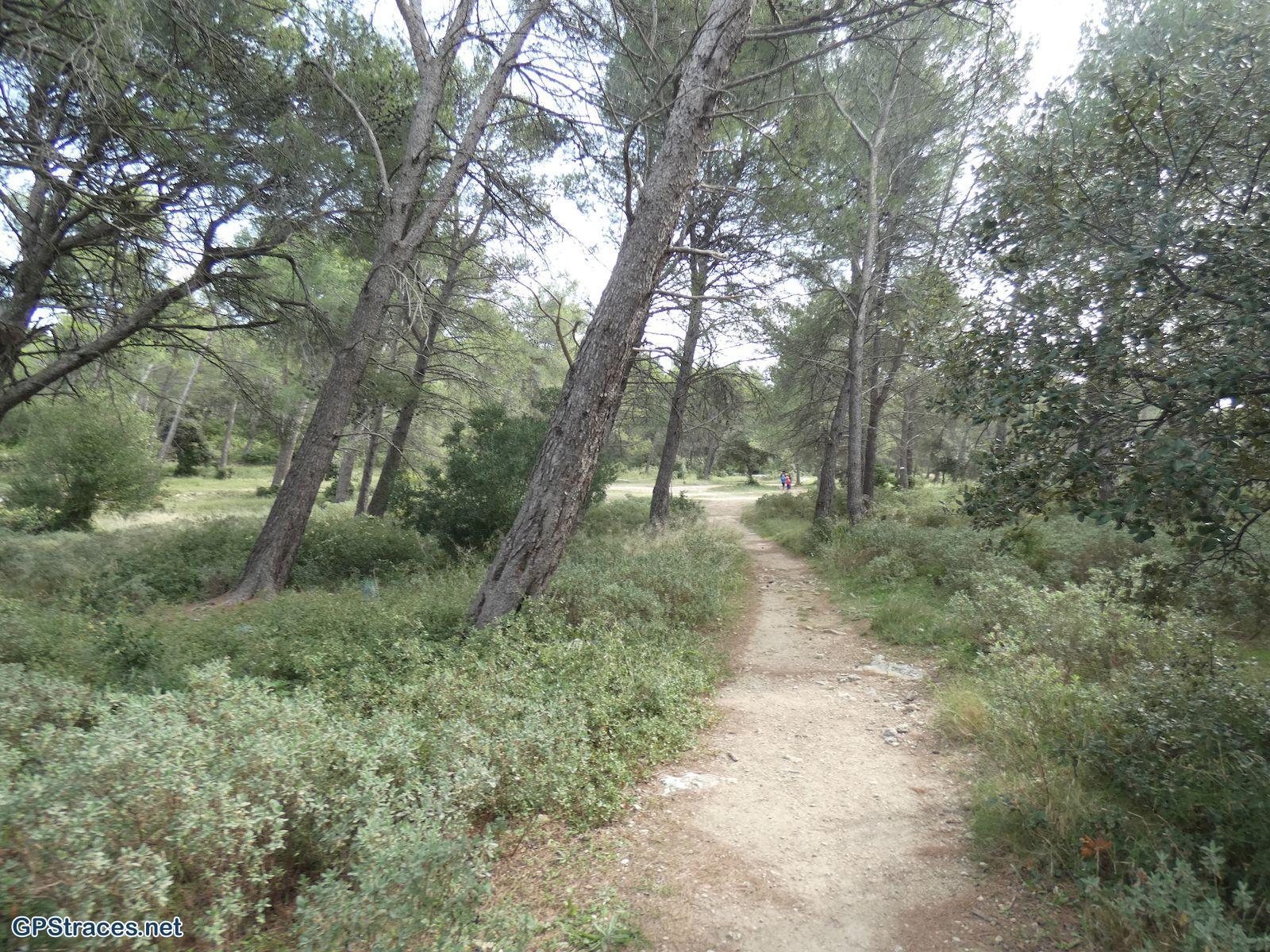 Bouches du Rhône-Alpilles - Autour de la chapelle Saint-Gabriel–4