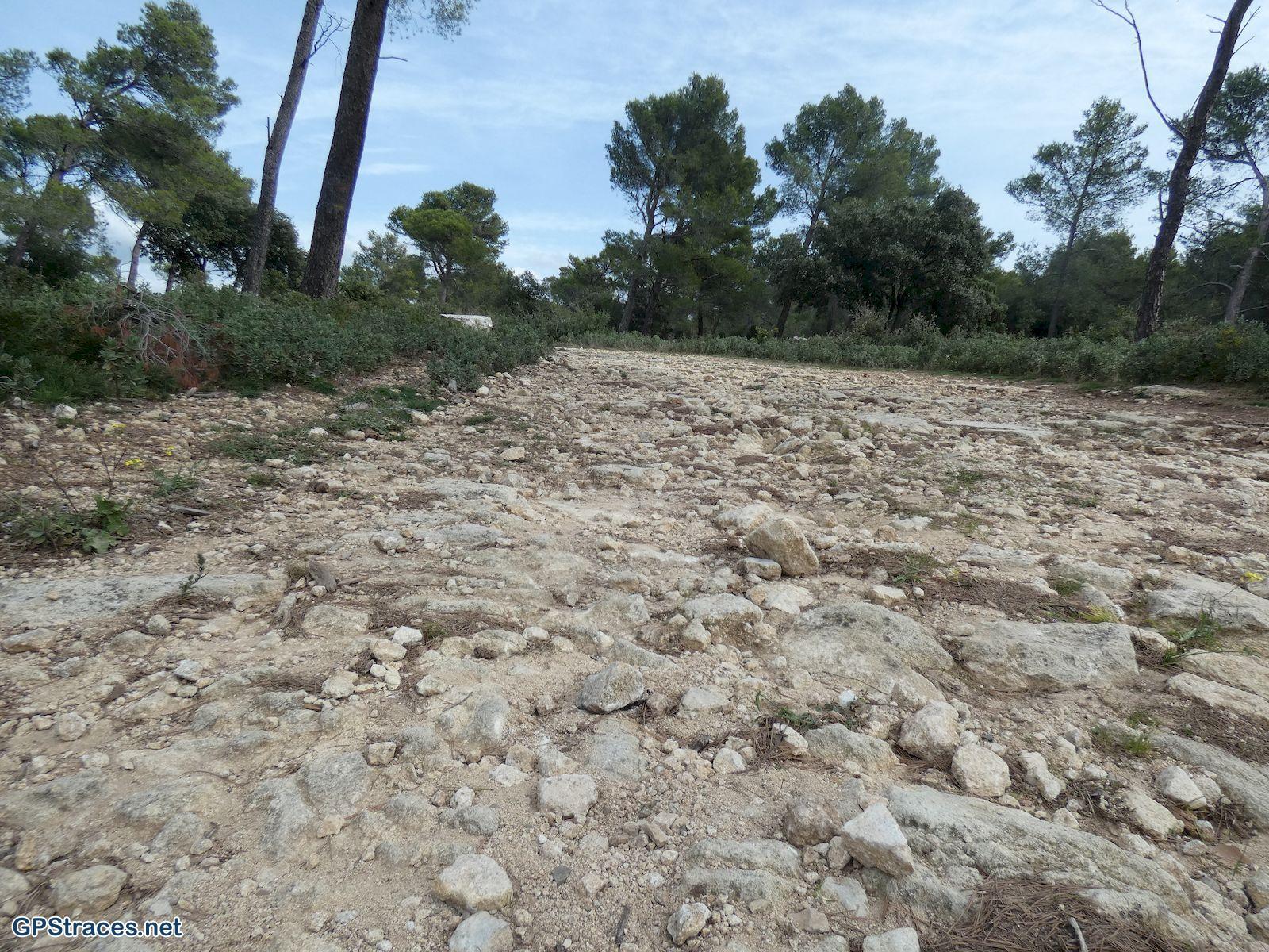 Bouches du Rhône-Alpilles - Autour de la chapelle Saint-Gabriel–5