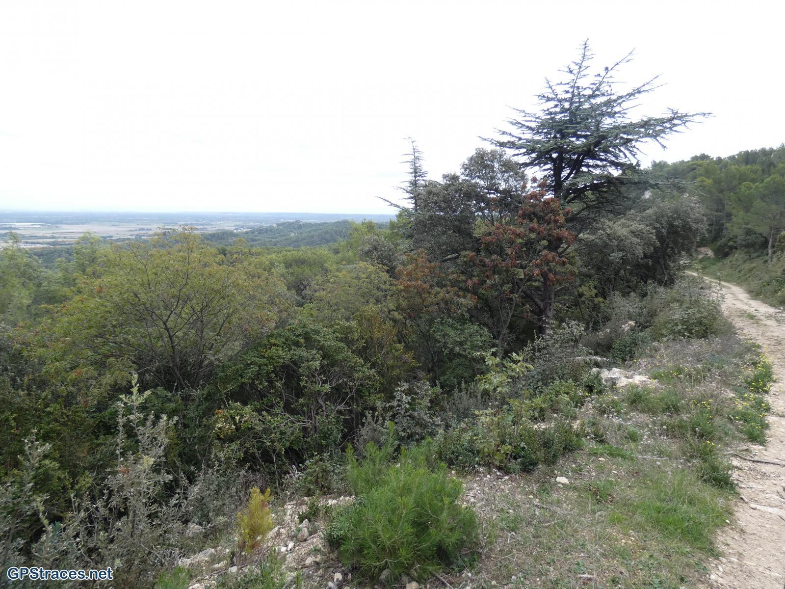 Bouches du Rhône-Alpilles - Autour de la chapelle Saint-Gabriel–7