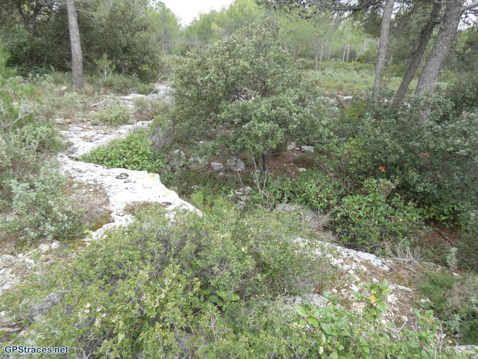 Vestiges d'une carrière