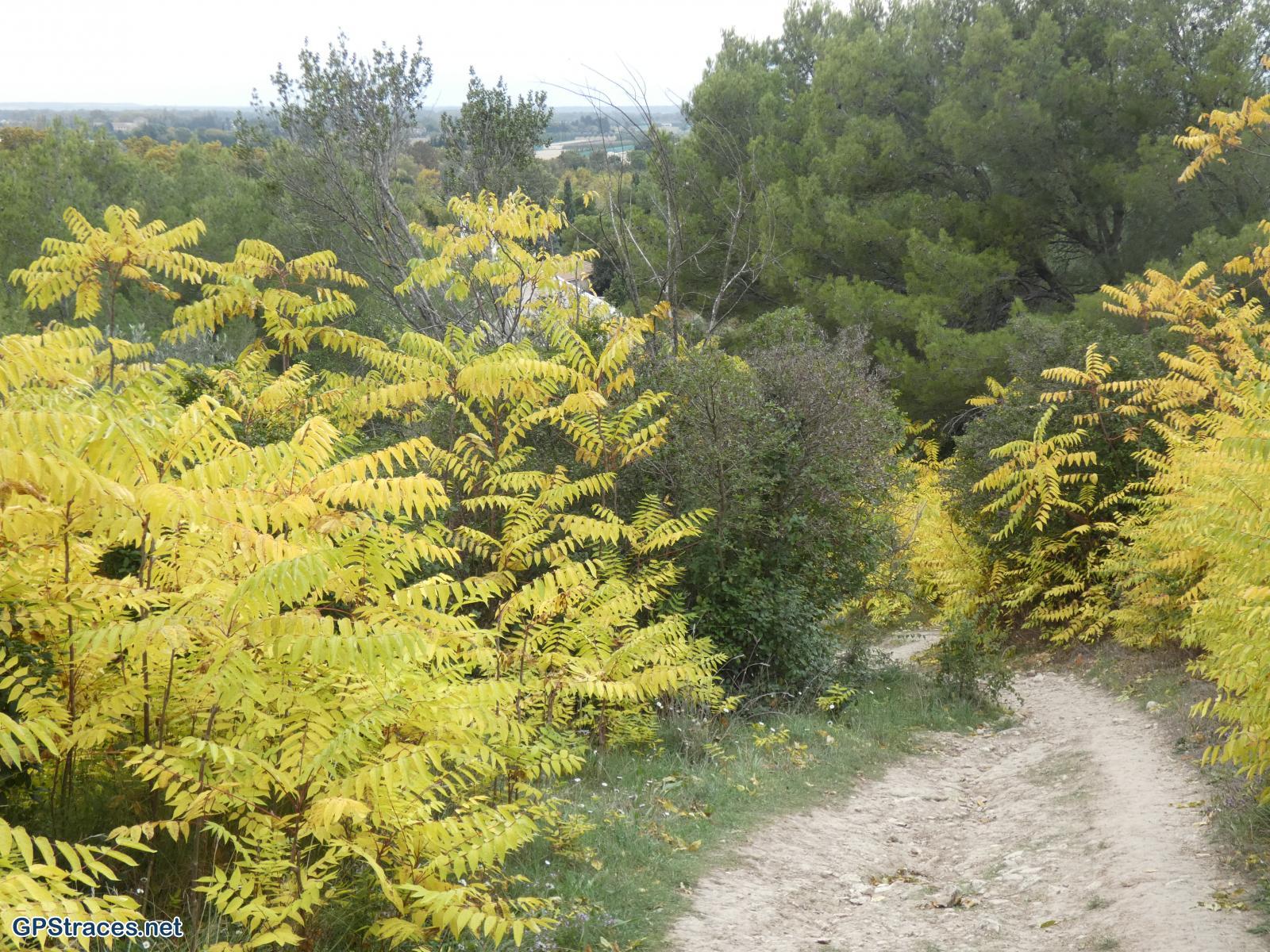 Bouches du Rhône-Alpilles - Autour de la chapelle Saint-Gabriel–12