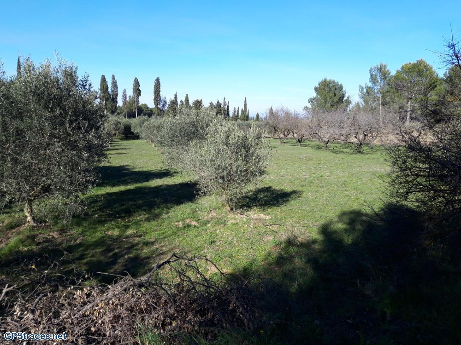 Bouches du Rhône-Alpilles - Les Baux de Provence–3