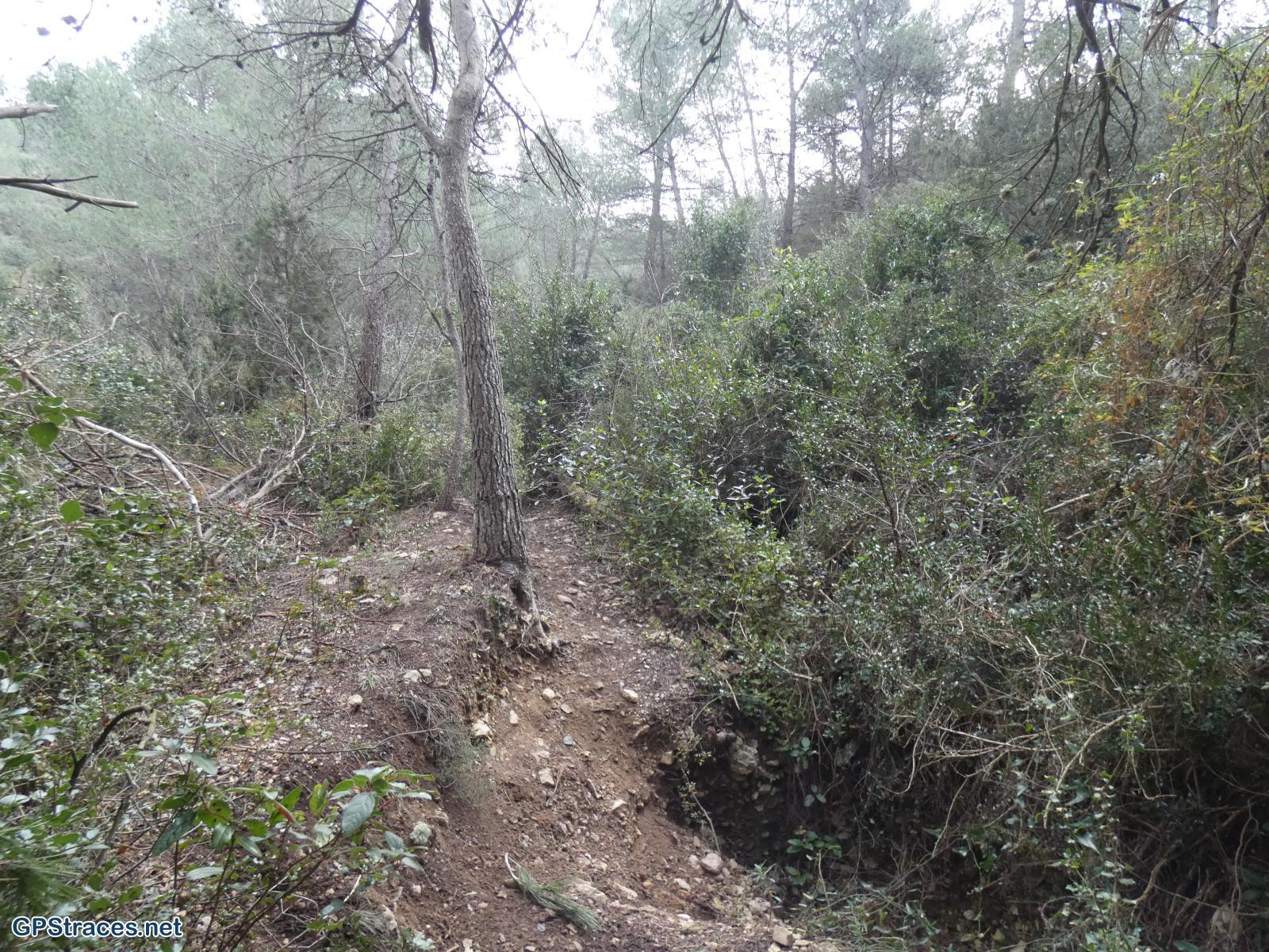 Bouches du Rhône-Alpilles - Les Cadenières–1