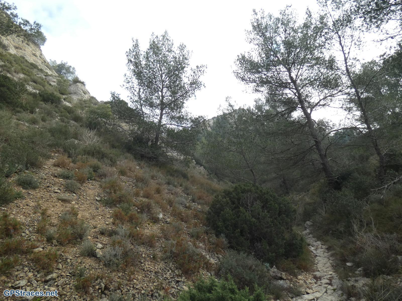 Bouches du Rhône-Alpilles - Les Cadenières–2