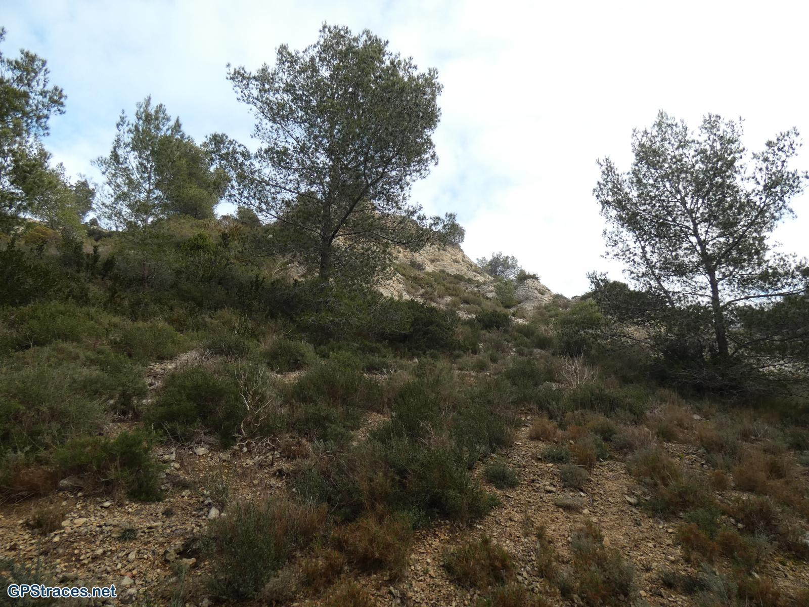 Bouches du Rhône-Alpilles - Les Cadenières–3