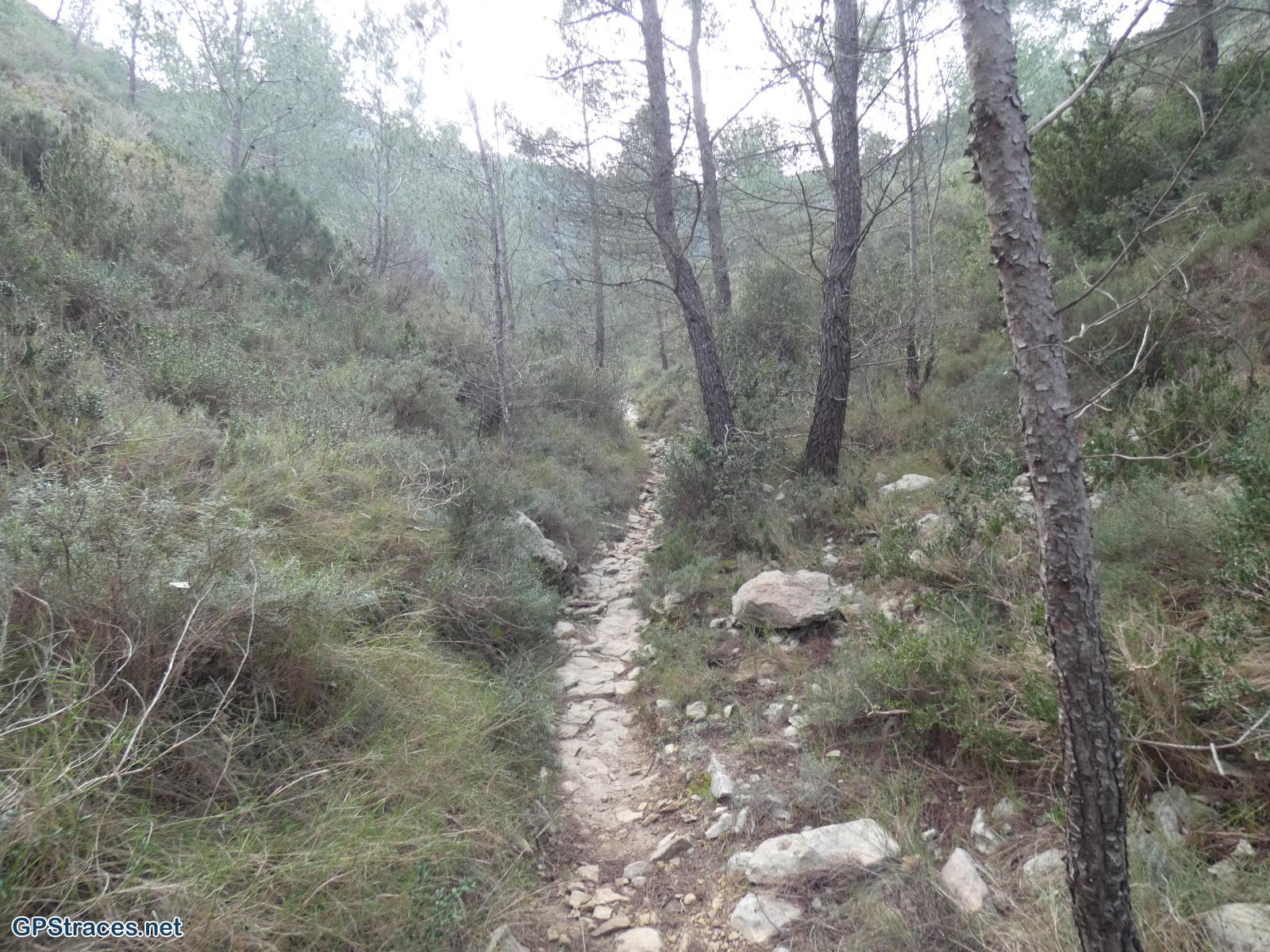 Bouches du Rhône-Alpilles - Les Cadenières–4