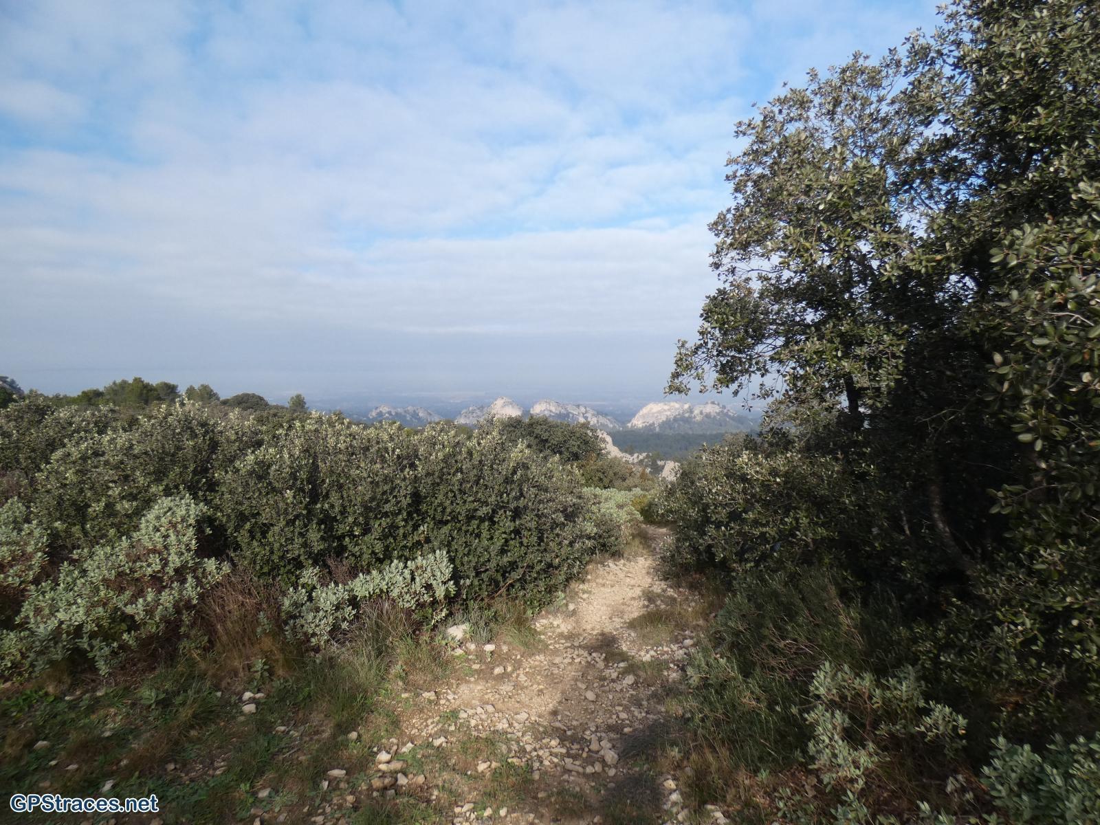 Bouches du Rhône-Alpilles - Les Cadenières–6