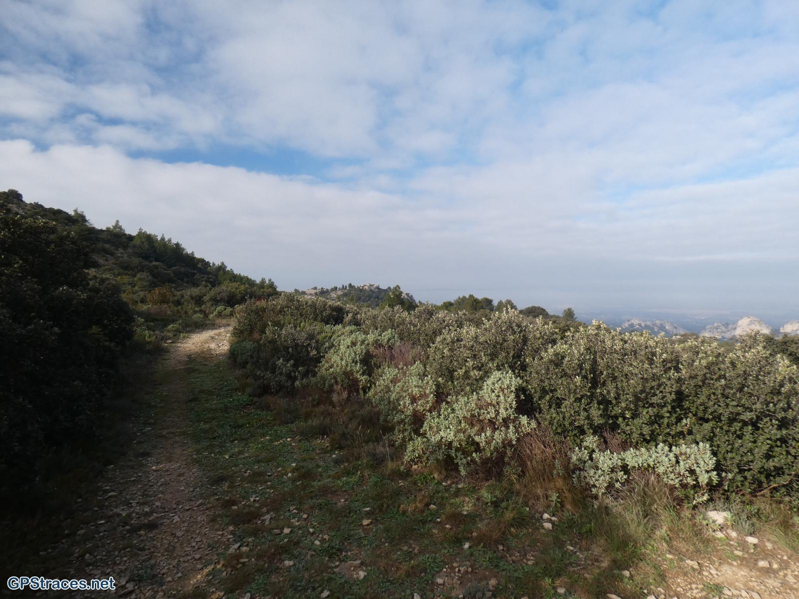 Bouches du Rhône-Alpilles - Les Cadenières–7