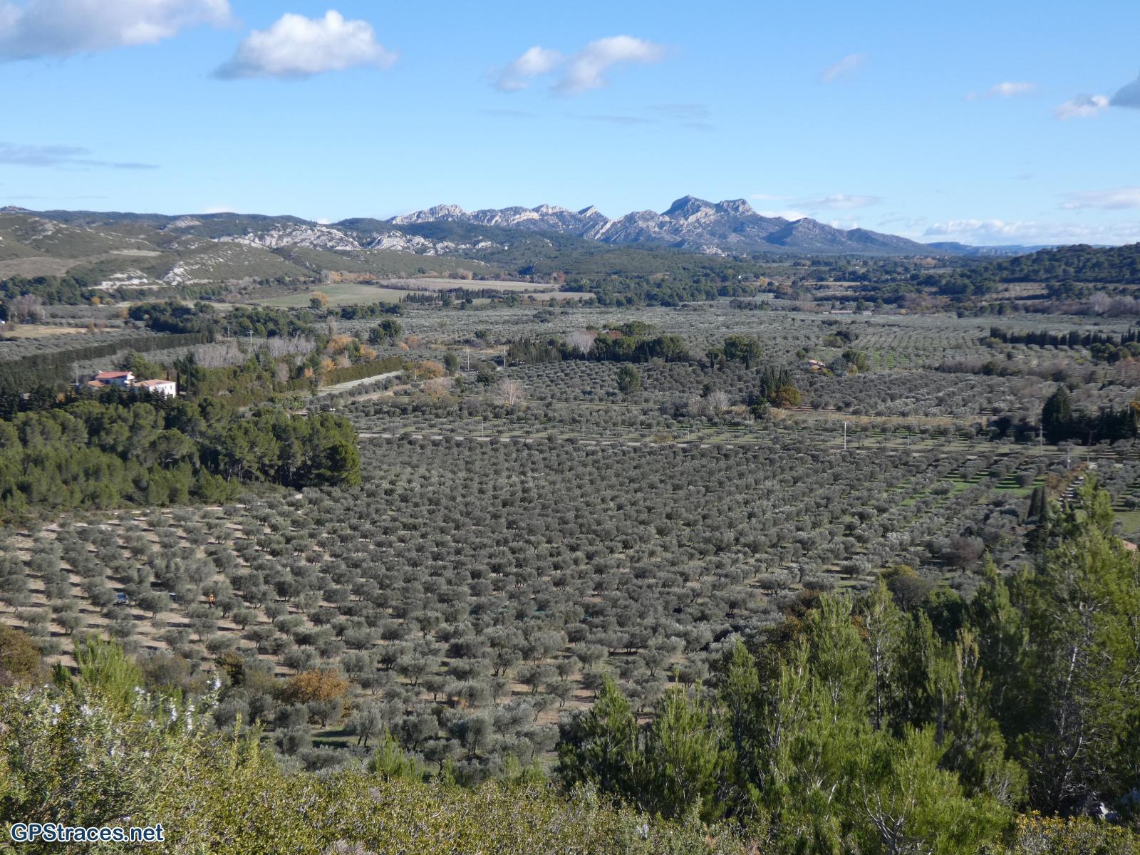 Bouches du Rhône-Alpilles - Caisses de Jean-Jean–0