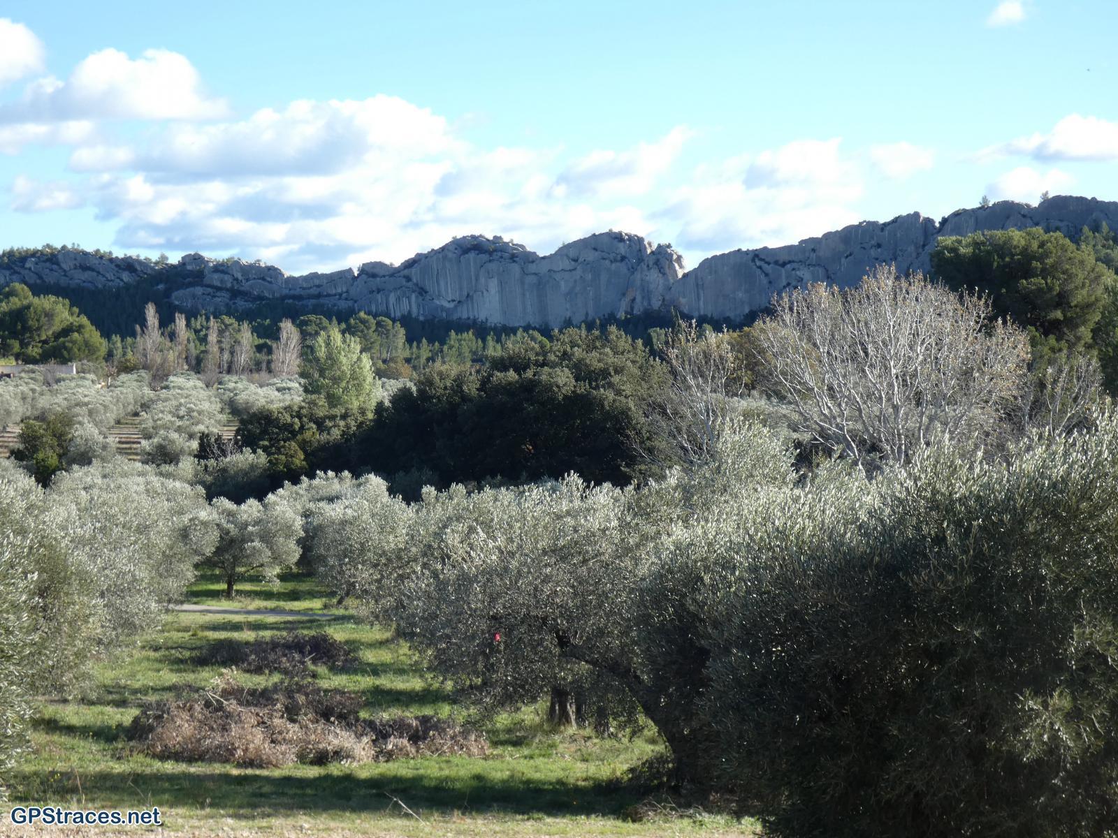 Bouches du Rhône-Alpilles - Caisses de Jean-Jean–5