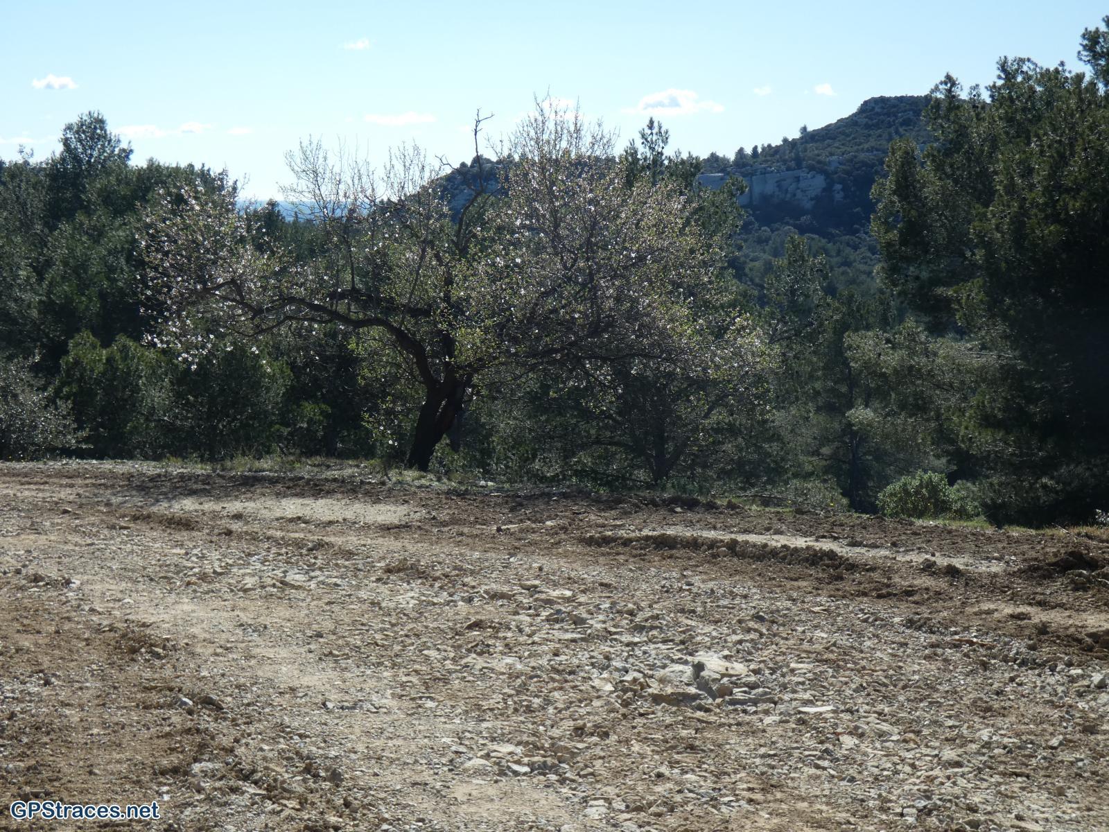Bouches du Rhône-Alpilles - Du canal des Alpines au Val D'Enfer–3