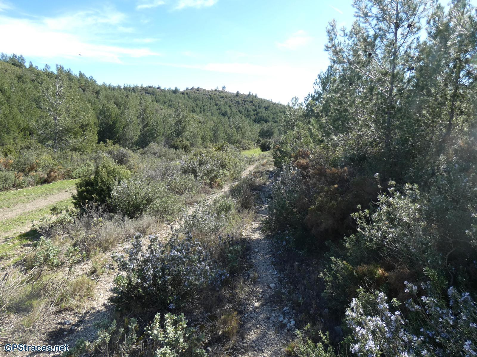 Bouches du Rhône-Alpilles - Carrière du Mas Rouge - Pas du Loup–12