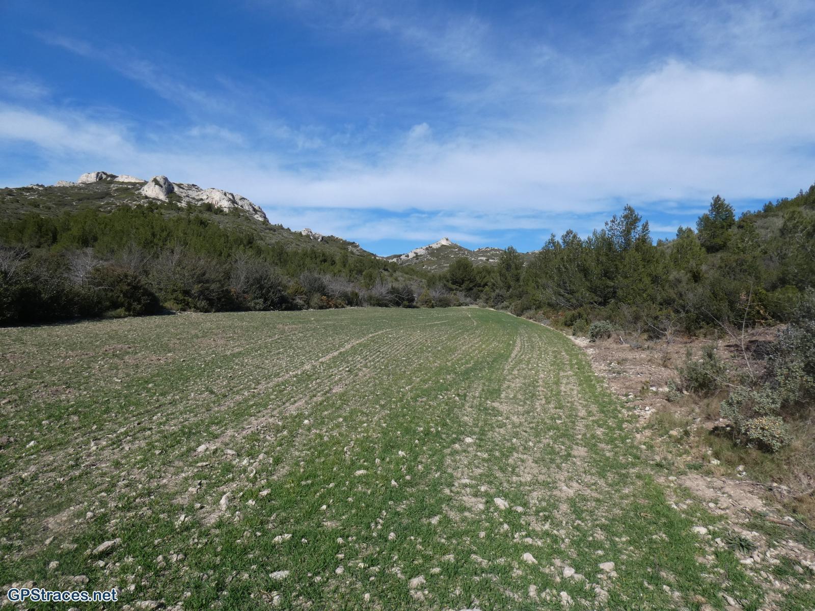 Bouches du Rhône-Alpilles - Carrière du Mas Rouge - Pas du Loup–13