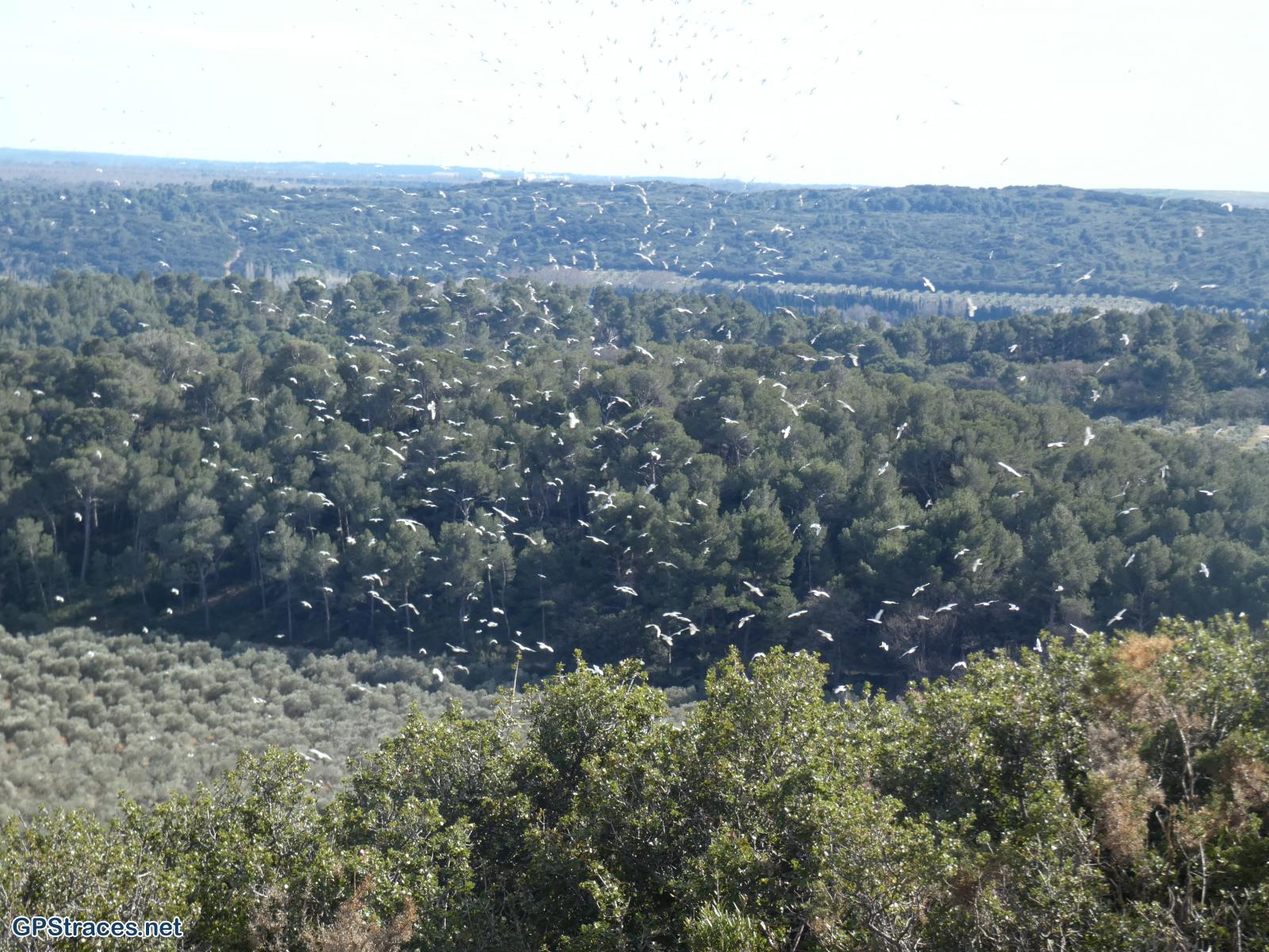 Bouches du Rhône-Alpilles - Carrière du Mas Rouge - Pas du Loup–14