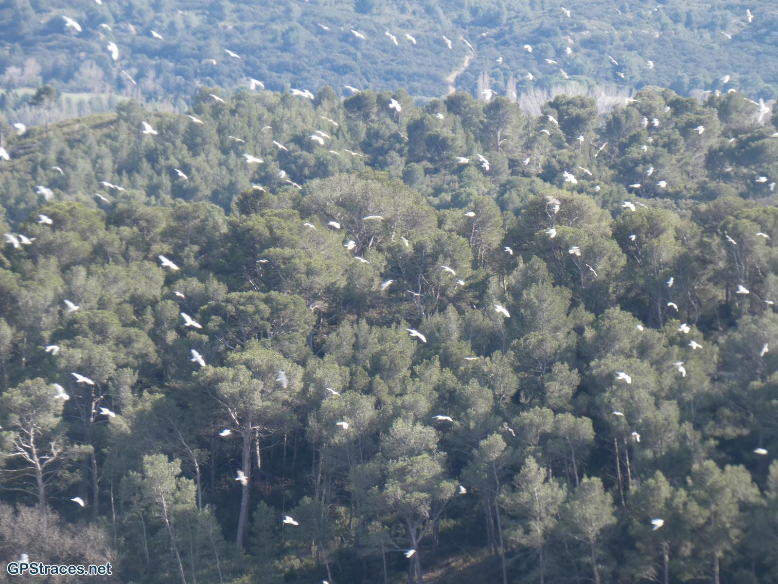 Bouches du Rhône-Alpilles - Carrière du Mas Rouge - Pas du Loup–15