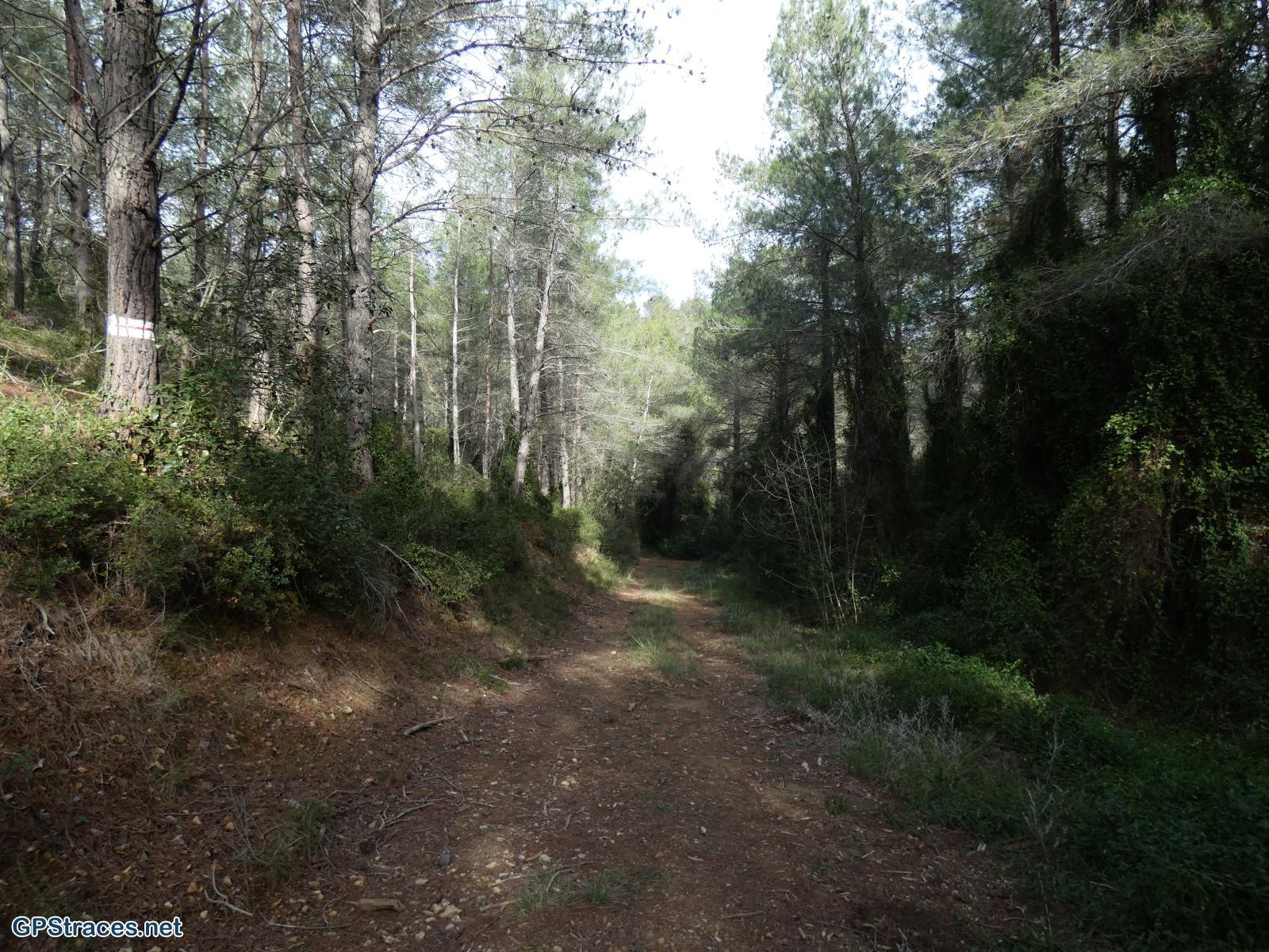 Bouches du Rhône-Alpilles - Les cascades - Les Quatre Termes–5